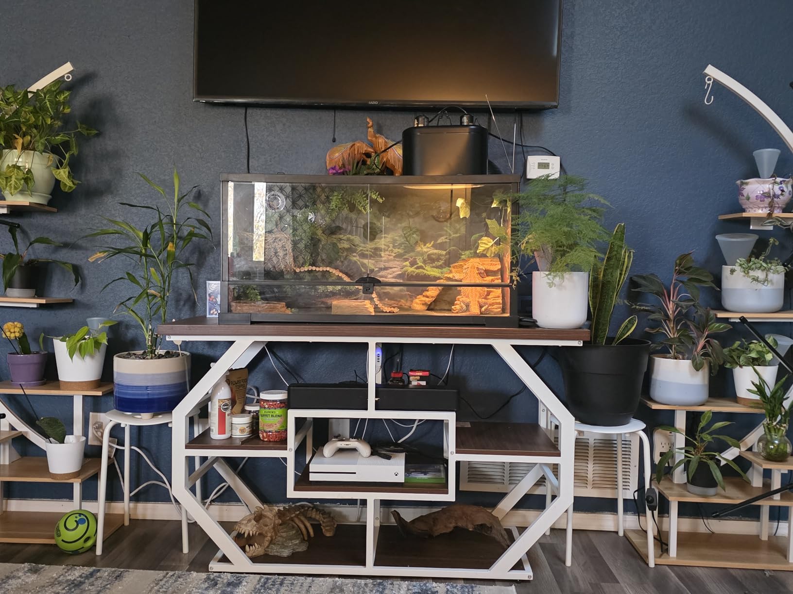 DWVO 55-75 Gallon Aquarium Stand with Power Outlet, Display Stand for Turtle Tank, Reptile Terrarium, Metal Fish Tank Stand Suitable for Living Room, Entryway, 860LBS Capacity, Black & Gold customer photo 1