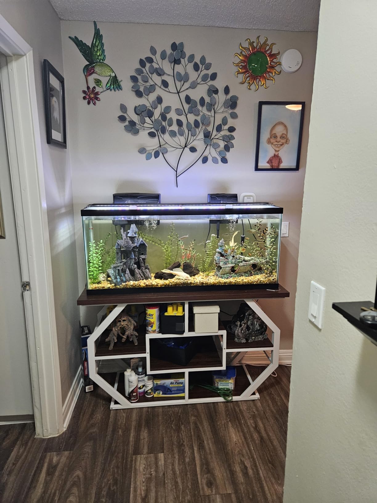DWVO 55-75 Gallon Aquarium Stand with Power Outlet, Display Stand for Turtle Tank, Reptile Terrarium, Metal Fish Tank Stand Suitable for Living Room, Entryway, 860LBS Capacity, Black & Gold customer photo 2