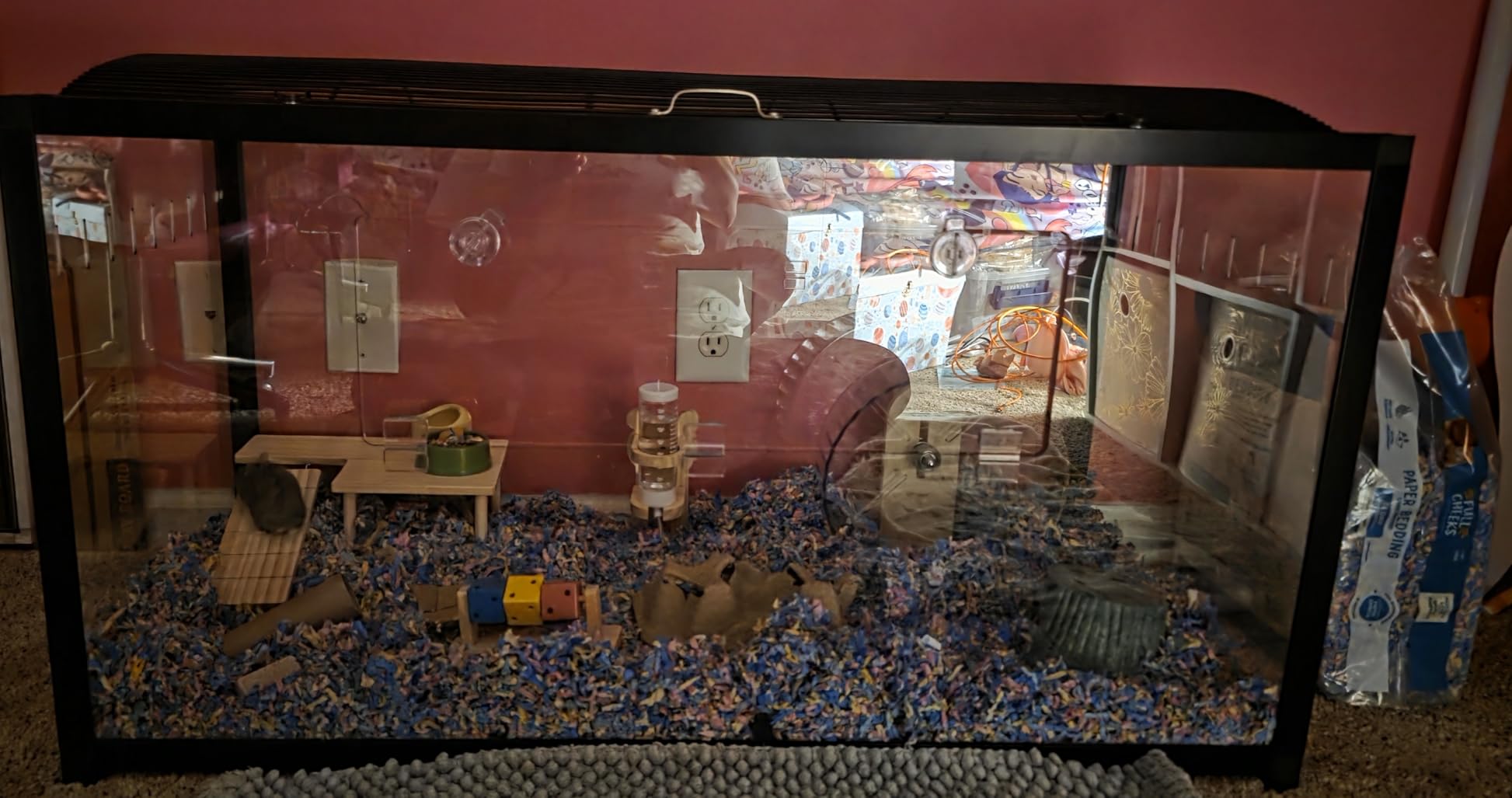 VEVOR Hamster Cage, 360 Viewing Transparent Hamster Habitats, Small Animal Cage customer photo 1