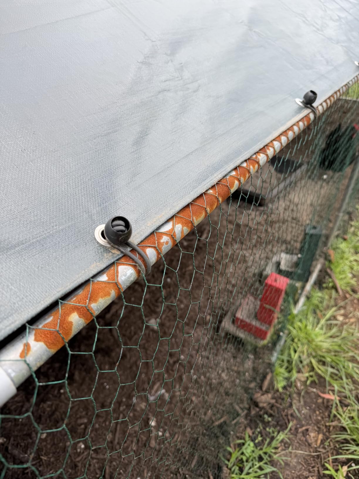 VEVOR Metal Chicken Coop, 6.56x6.56x6.56ft Large Walk-in Chicken Runs with Cover, Spire Roof Hen House Enclosure with Security Lock, Outdoor Duck Rabbit Cage Poultry Pen for Backyard, Farm, Yard customer photo 2