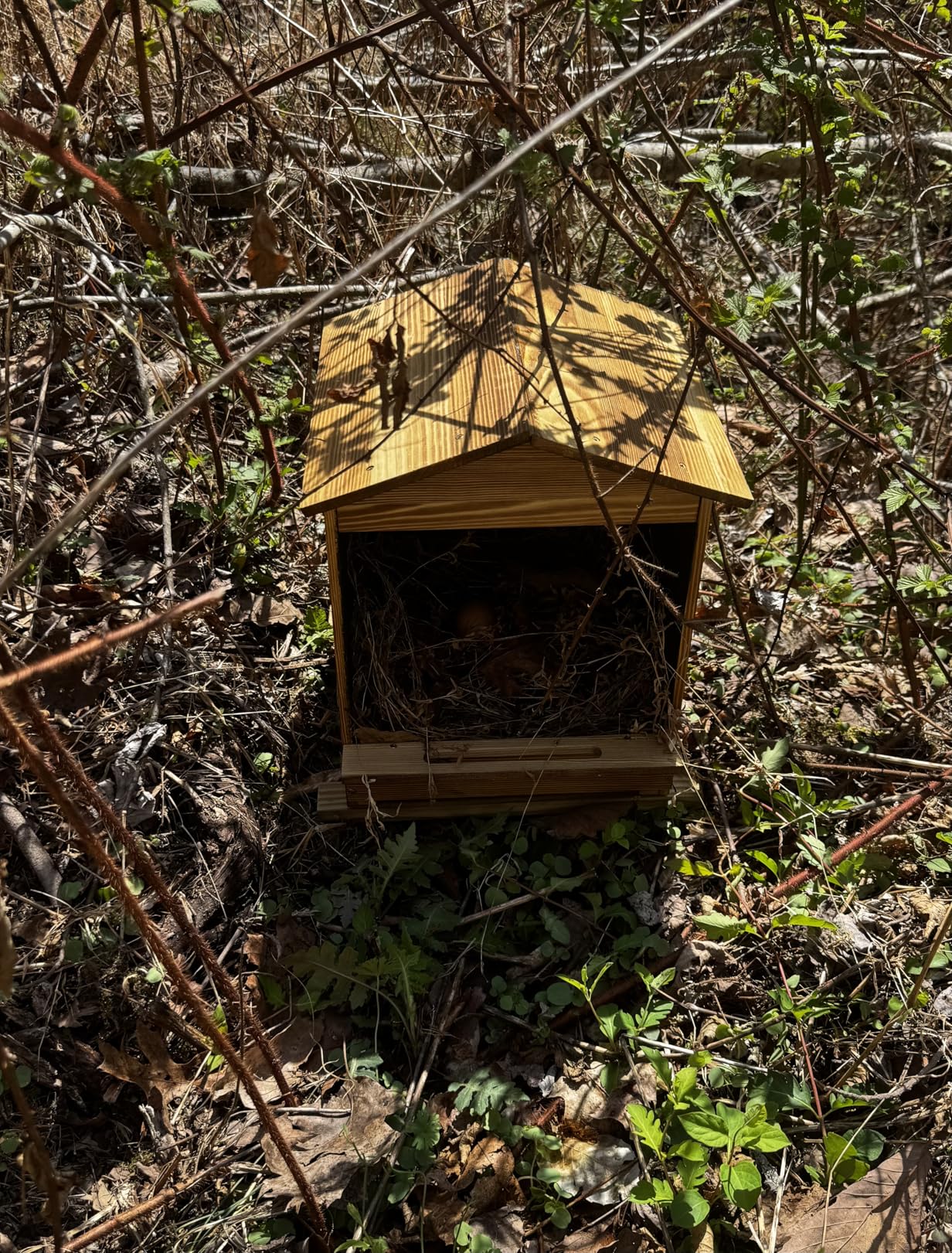 Chicken Nesting Box 3 Compartments - Wall Mount Wooden Egg Laying Nest Box for Chicken Coop, Easy to Assemble & Versatile Use for Hens, Ducks, Chickens customer photo 1