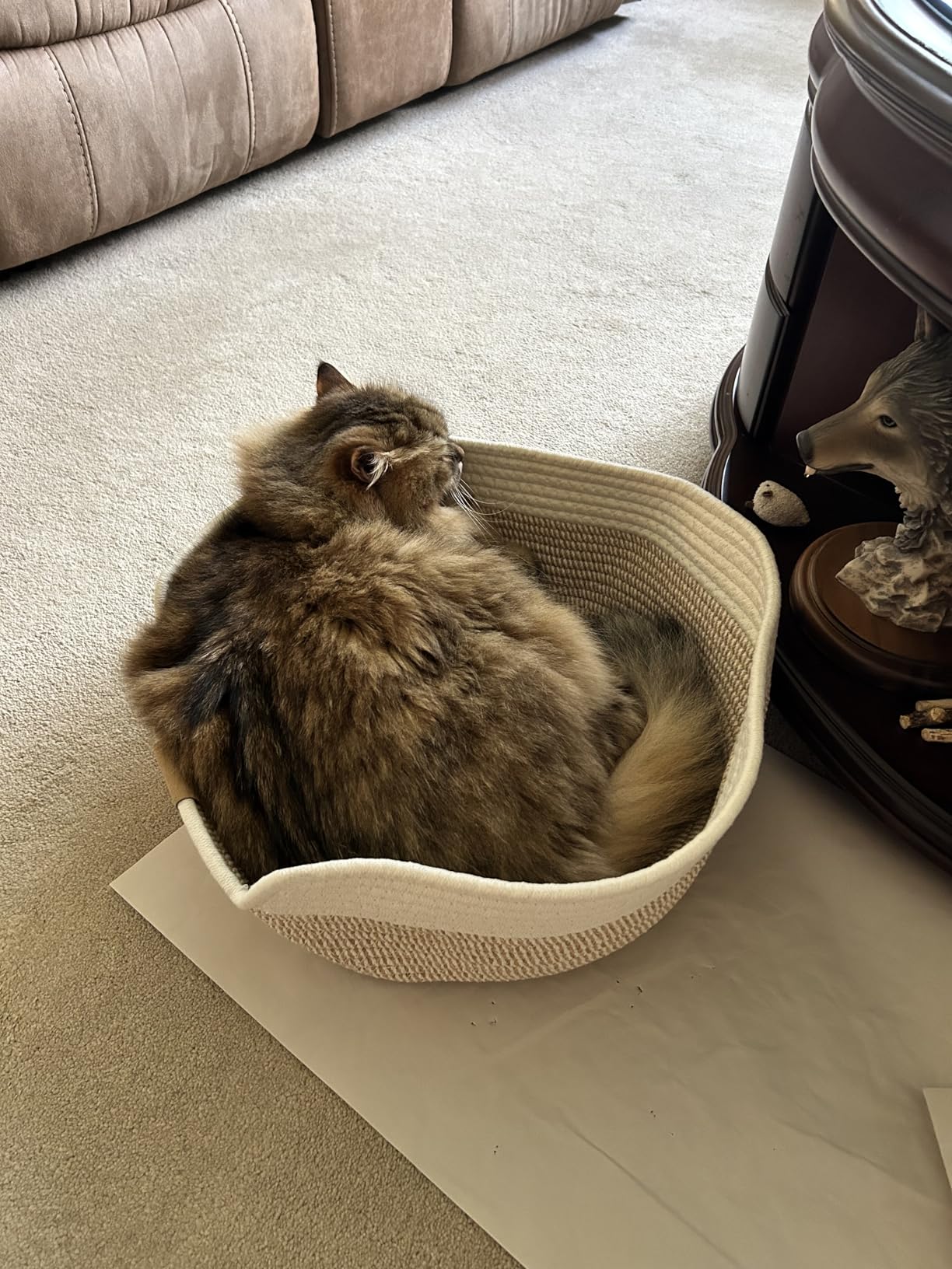 CHEERHOME PETS Cat Bed Basket with Cushion, Cotton Rope Woven Pet Bed for Indoor Cats Couch, Stimulicat Cat Bed Handwoven Breathable, All Season Universal (White) customer photo 1