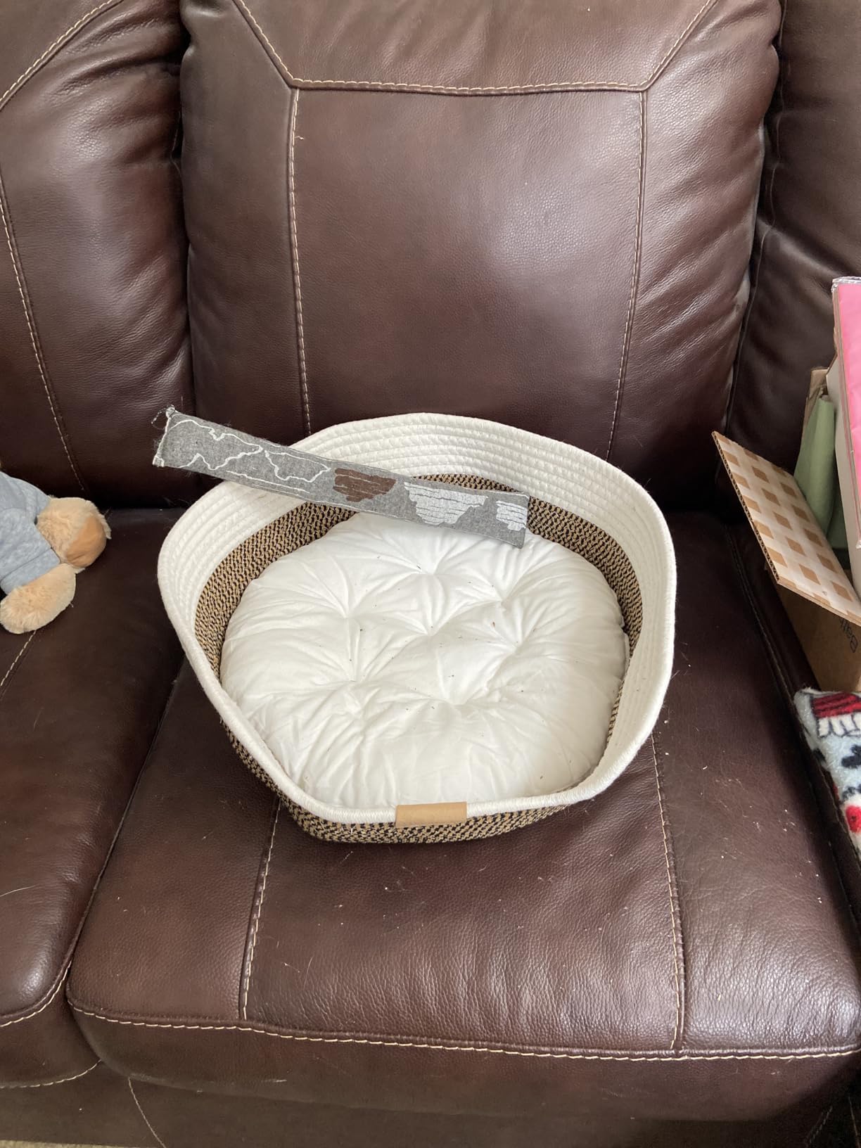 CHEERHOME PETS Cat Bed Basket with Cushion, Cotton Rope Woven Pet Bed for Indoor Cats Couch, Stimulicat Cat Bed Handwoven Breathable, All Season Universal (White) customer photo 2
