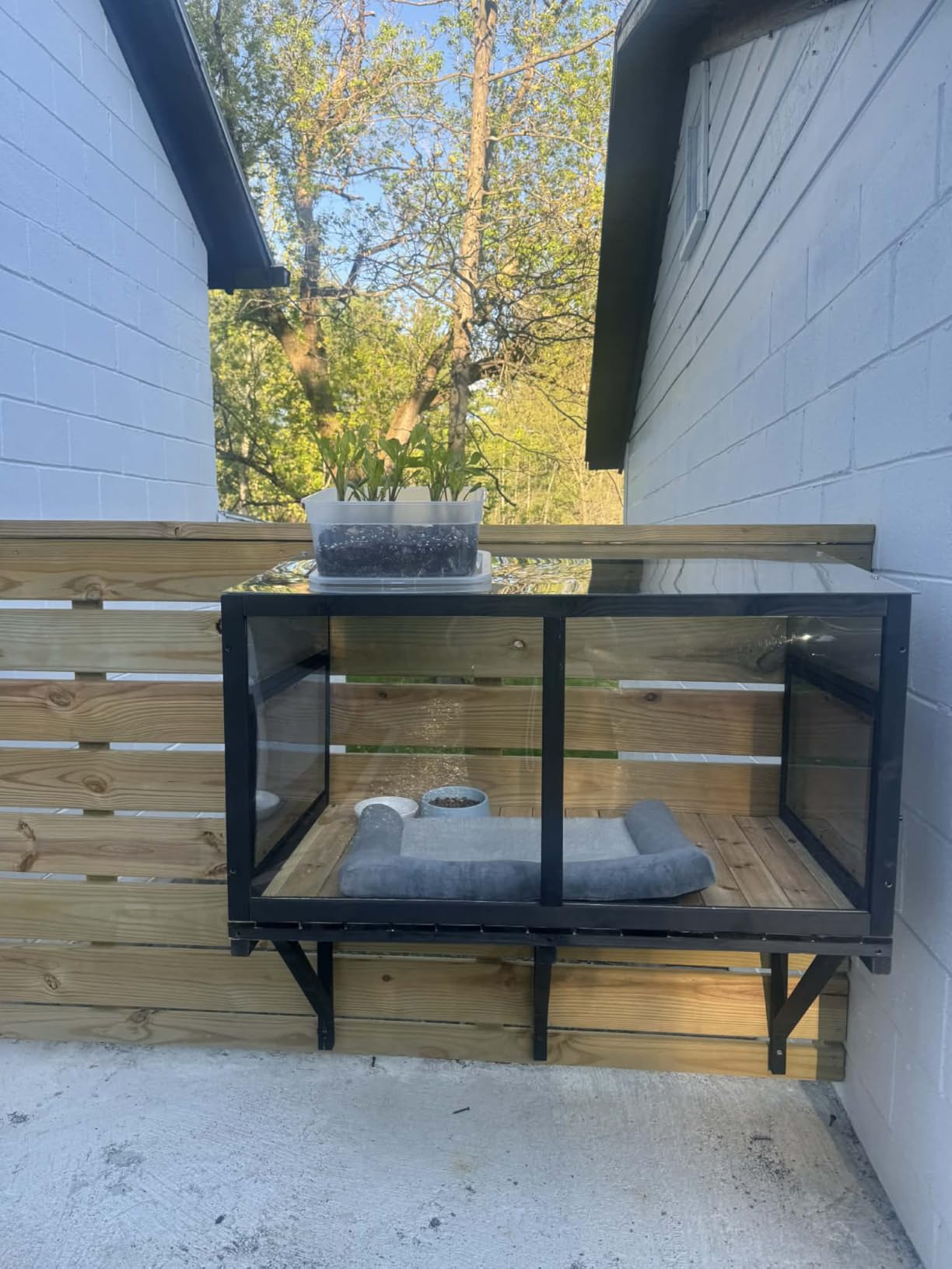 Cat Window Box Window Perch Catio Outdoor Cat Enclosure Bug Proof Wire Grid for Sunbathing Napping Overlooking for Indoor Outdoor Cats customer photo 1