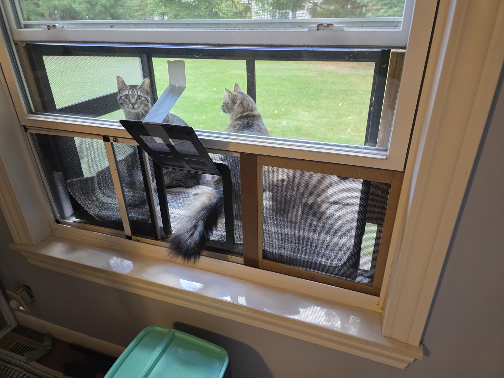 Cat Window Box Window Perch Catio Outdoor Cat Enclosure Bug Proof Wire Grid for Sunbathing Napping Overlooking for Indoor Outdoor Cats customer photo 2