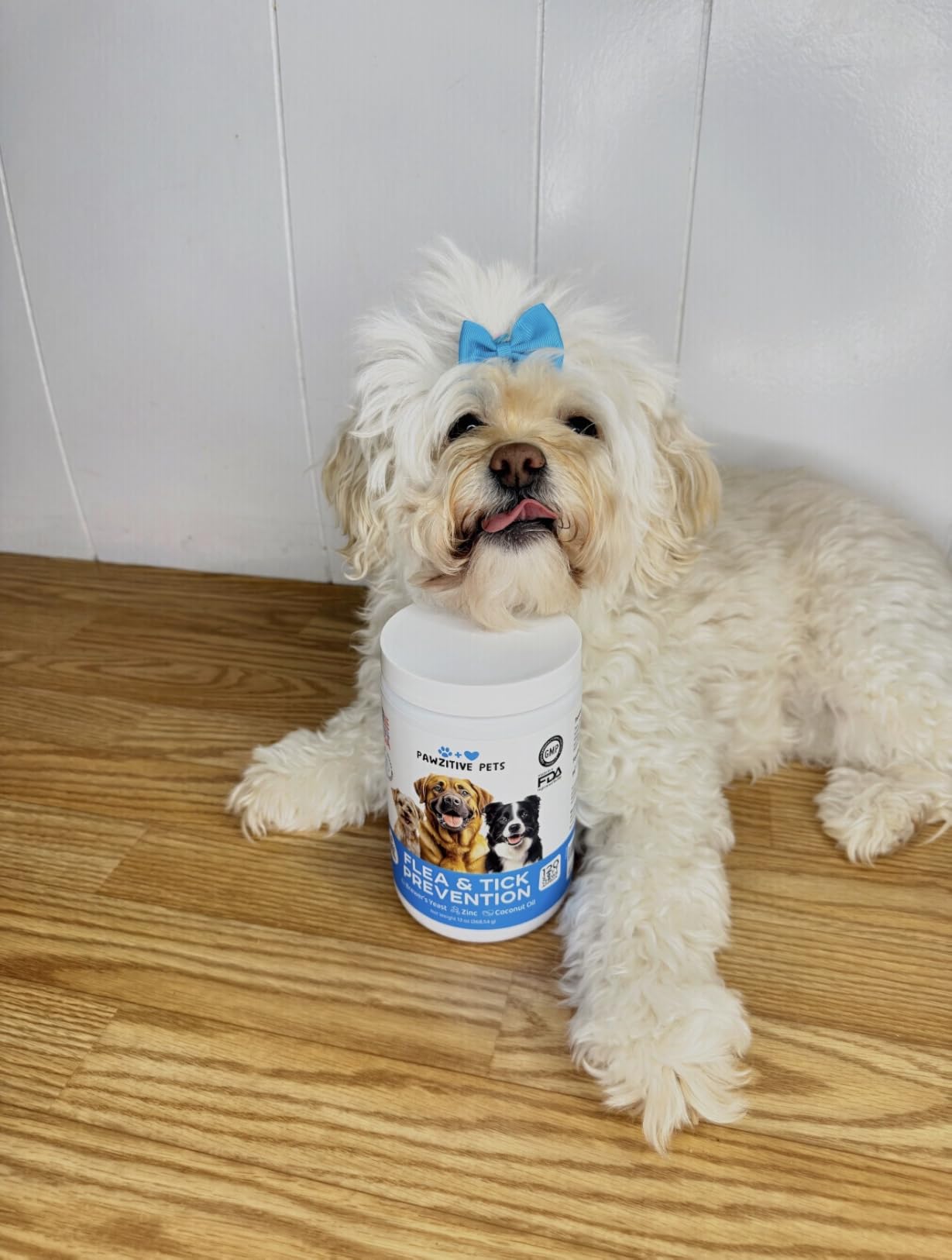 Chewable Flea and Tick Prevention for Dogs - 120 Soft Chews Made in USA - Oral Flea and Tick Control Pills for Small, Medium, Large Dogs and Puppies - Skin and Coat Supplement Treats for All Breeds customer photo 1