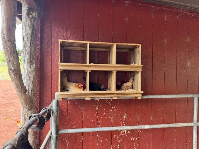 Neoaider Nesting Boxes for Chickens 8 Compartment, Wall-Mounted Wooden Chicken Nesting Box, Ensuring Comfortable Egg Laying, Preventing Egg Falls, Perfect for Backyard and Poultry Farms customer photo 1