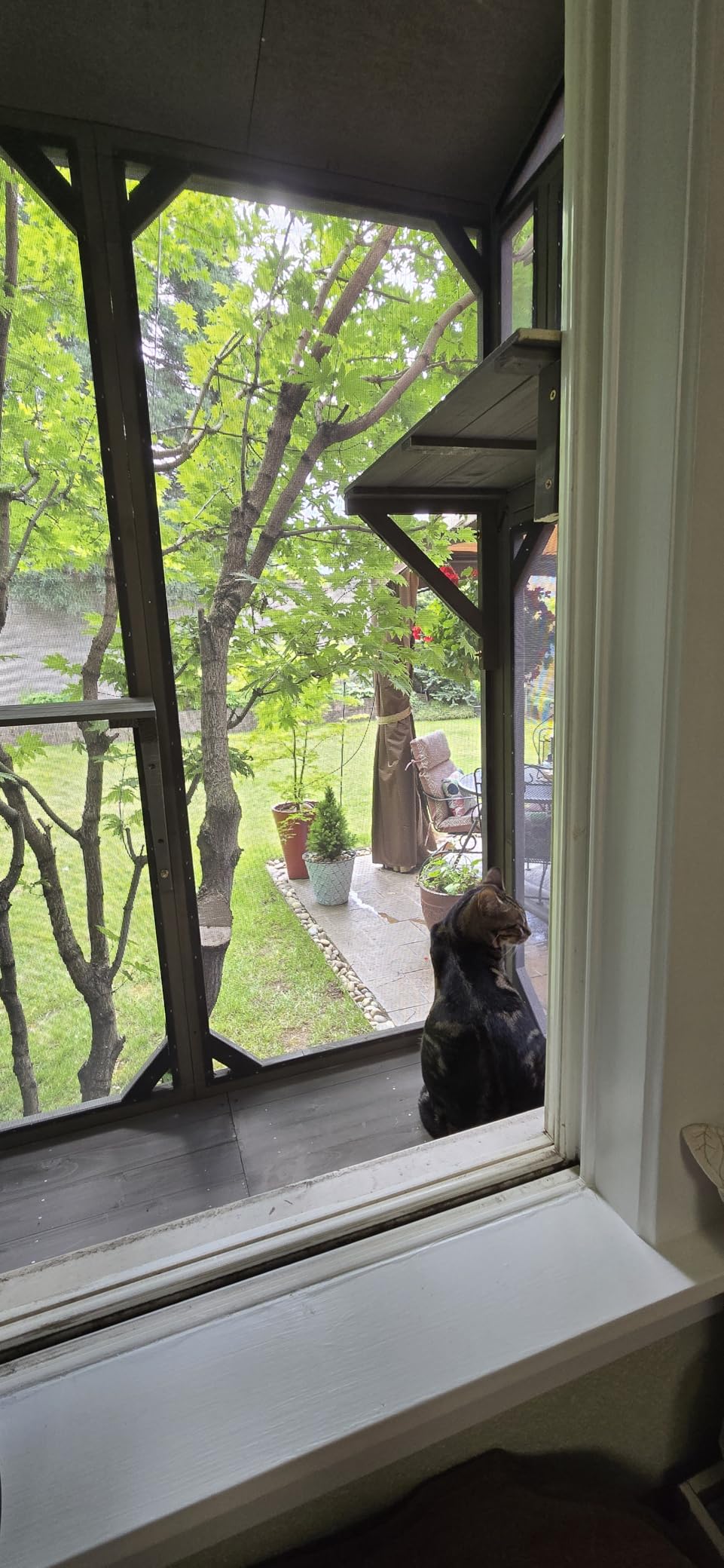 ketive Cat Catio, Expandable Window Box Enclosure for Multiple Indoor Cats, Comfortable Wooden Small Pet Perch House, All-Weather Use, Keep Bugs Insects Out, with 4 Platforms and 3 Doors customer photo 2