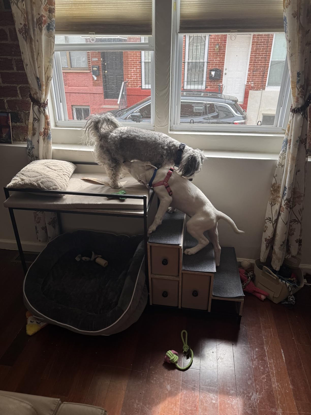 LEMBERI Pet Bunk Bed with Stairs and Storage, Dogs/Cats Window Perch, Bedside Lounge Elevated Dog Bed Multi-Level Platform with Foam Upholstery (Gray) customer photo 1
