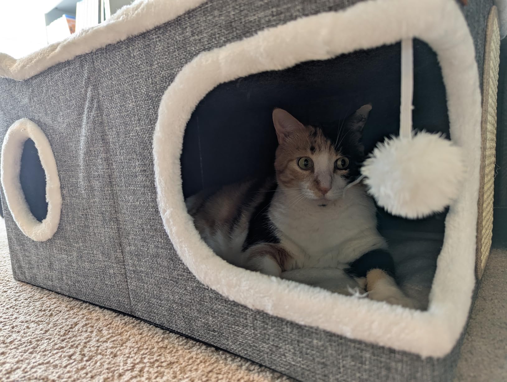 Extra Large Cat Beds for Indoor Cats, Covered Cat Cave Beds & Furniture with Scratch Pad and Fluffy Ball, Foldable Cat Condo Hideaway with Reversible Cushion for Multi Small Pet Large Kittens, Grey customer photo 1