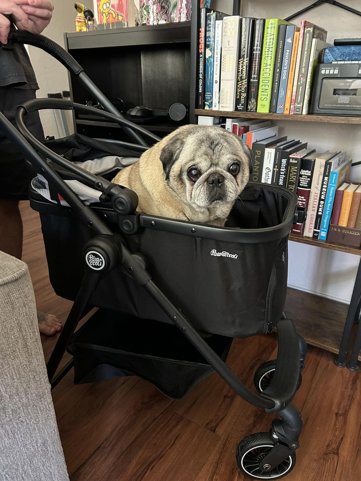 Pet Stroller for Small Dogs and Cats, One-Click Foldable Dog Stroller with Detachable Carrier & 3 Safety Tethers, Holds up to 33 lbs, Storage Basket & Cup Holder, Breathable Mesh, Black customer photo 1