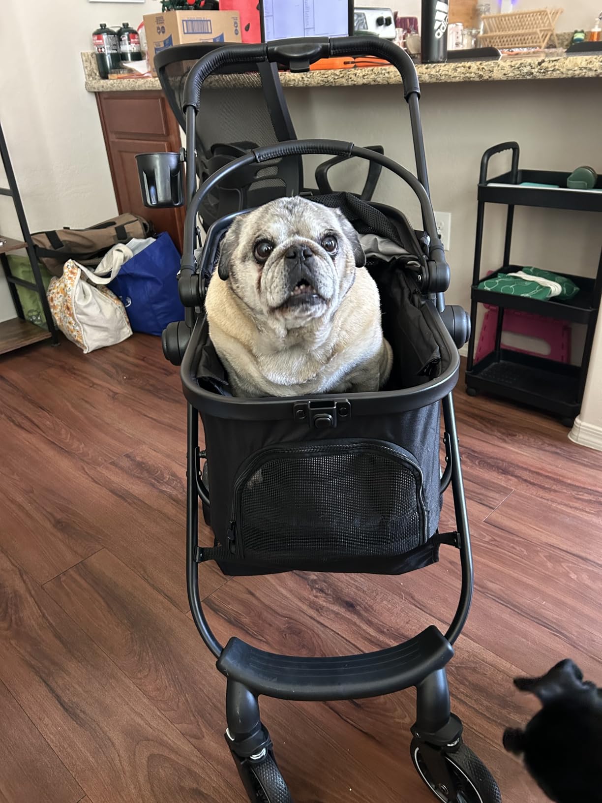 Pet Stroller for Small Dogs and Cats, One-Click Foldable Dog Stroller with Detachable Carrier & 3 Safety Tethers, Holds up to 33 lbs, Storage Basket & Cup Holder, Breathable Mesh, Black customer photo 2