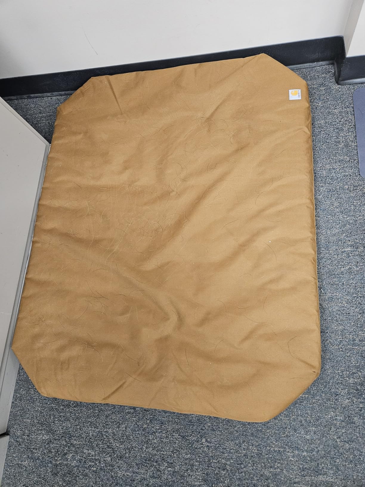 Field Dog Bed, Durable Water Repellent Material W/Triple-Stitched Main Seams, Carhartt Brown, Large customer photo 2