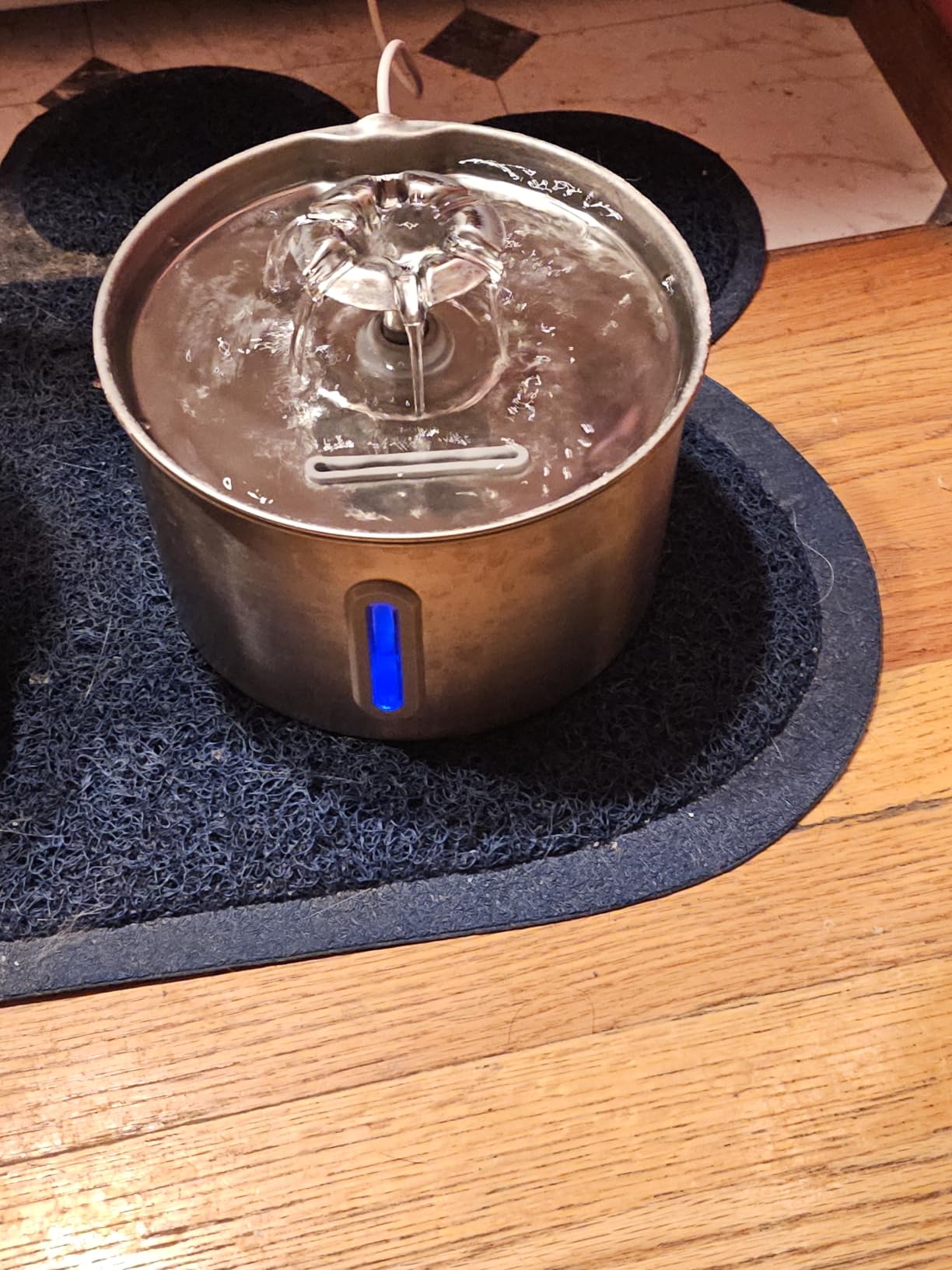 Cat Water Fountain Stainless Steel - 74oz/2.2L Automatic Large Pet Watering Bowl Dispenser for Indoor Dogs - Drinking Fountains with 3 Filter customer photo 1