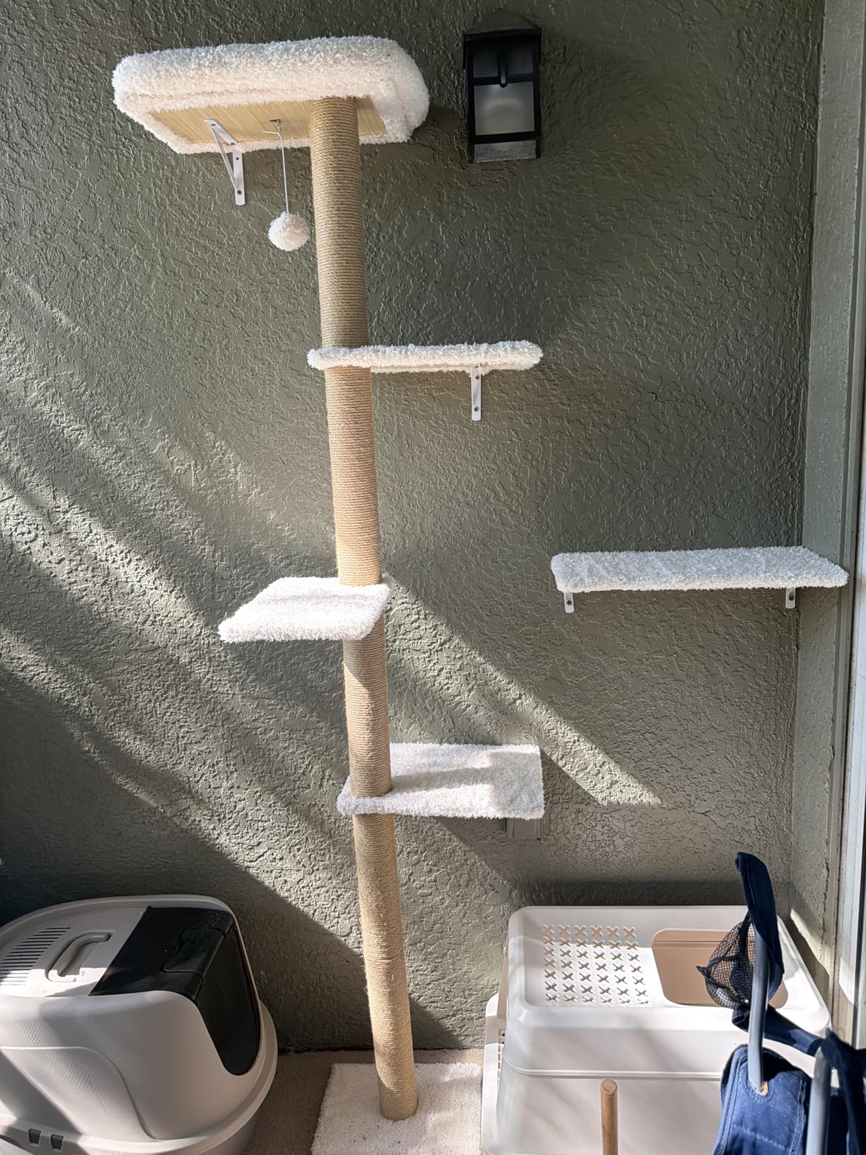 FUKUMARU Cat Wall Shelves Set, 70 Inch Stable Wall Mounted Tree, Kitten Scratching Post with Soft Cushion Perch, Space Saving Climbing Wall Furniture for 16 Inch Drywall - Beige customer photo 1