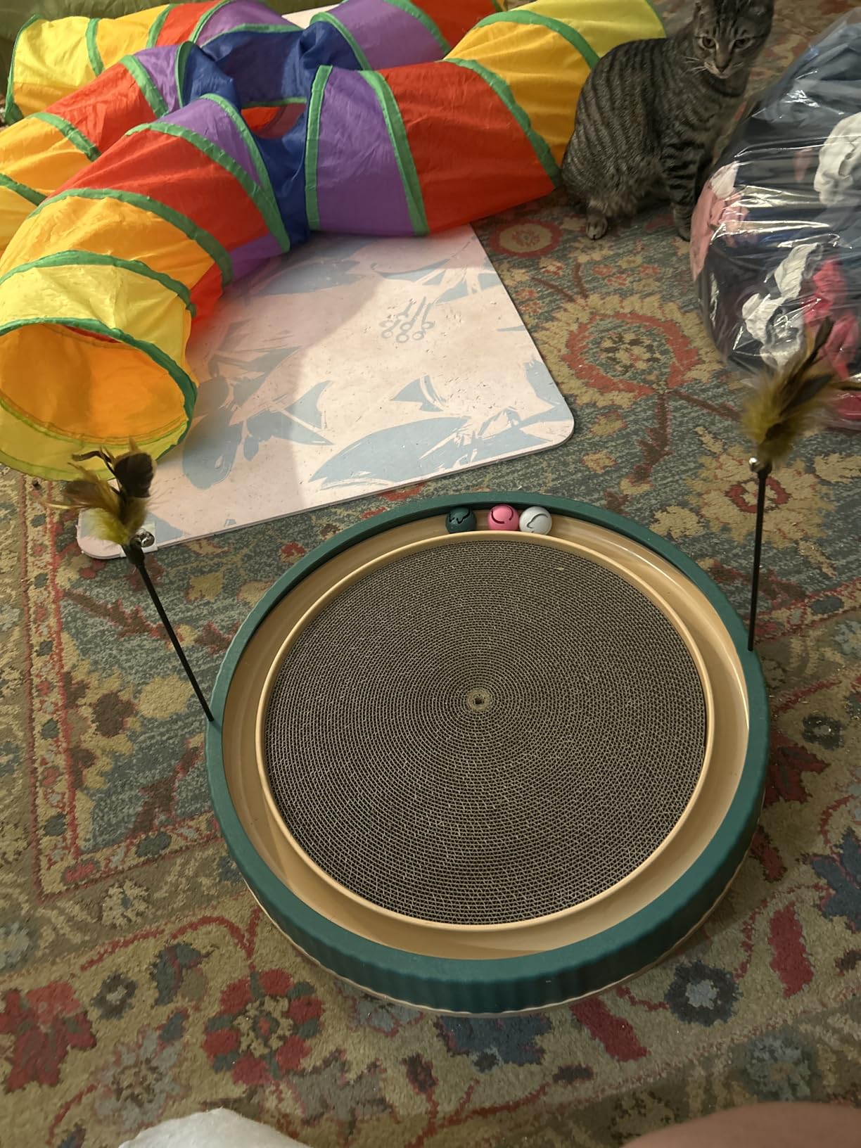 Extra-Large Round Cat Scratcher Bed with Ball Track - 3-in-1 Circular Cardboard Scratching Pad with Feather Toys - Interactive Cat Toy Round Track for Large Breeds Like Maine Coons (Orange) customer photo 1