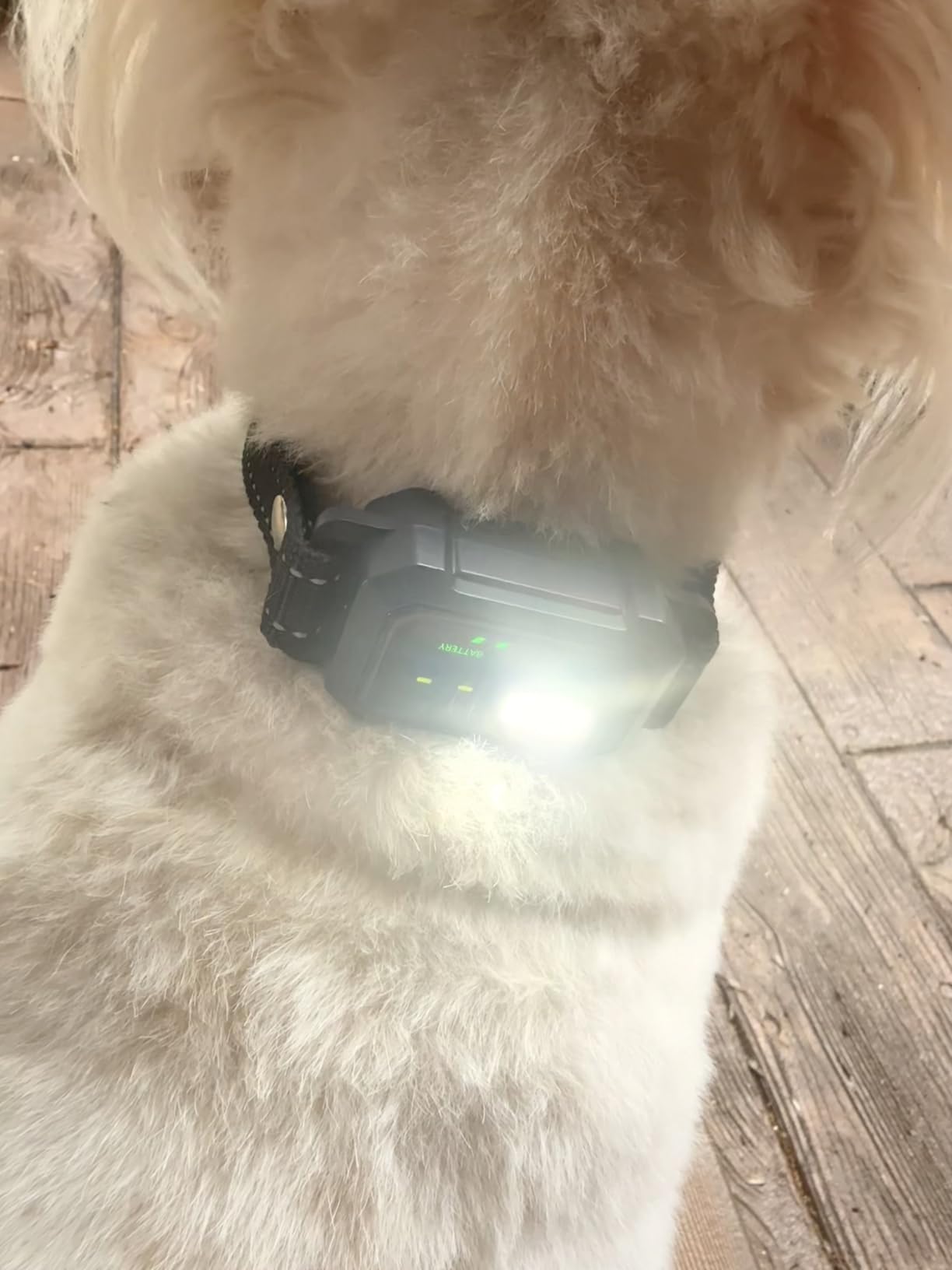 BLACKDOG Military Dog Shock Collar - 4200ft Dog Training Collar with Remote, 4 Training Modes, Flashlight & Strobe, 3-Month Battery, IP67 Waterproof customer photo 1
