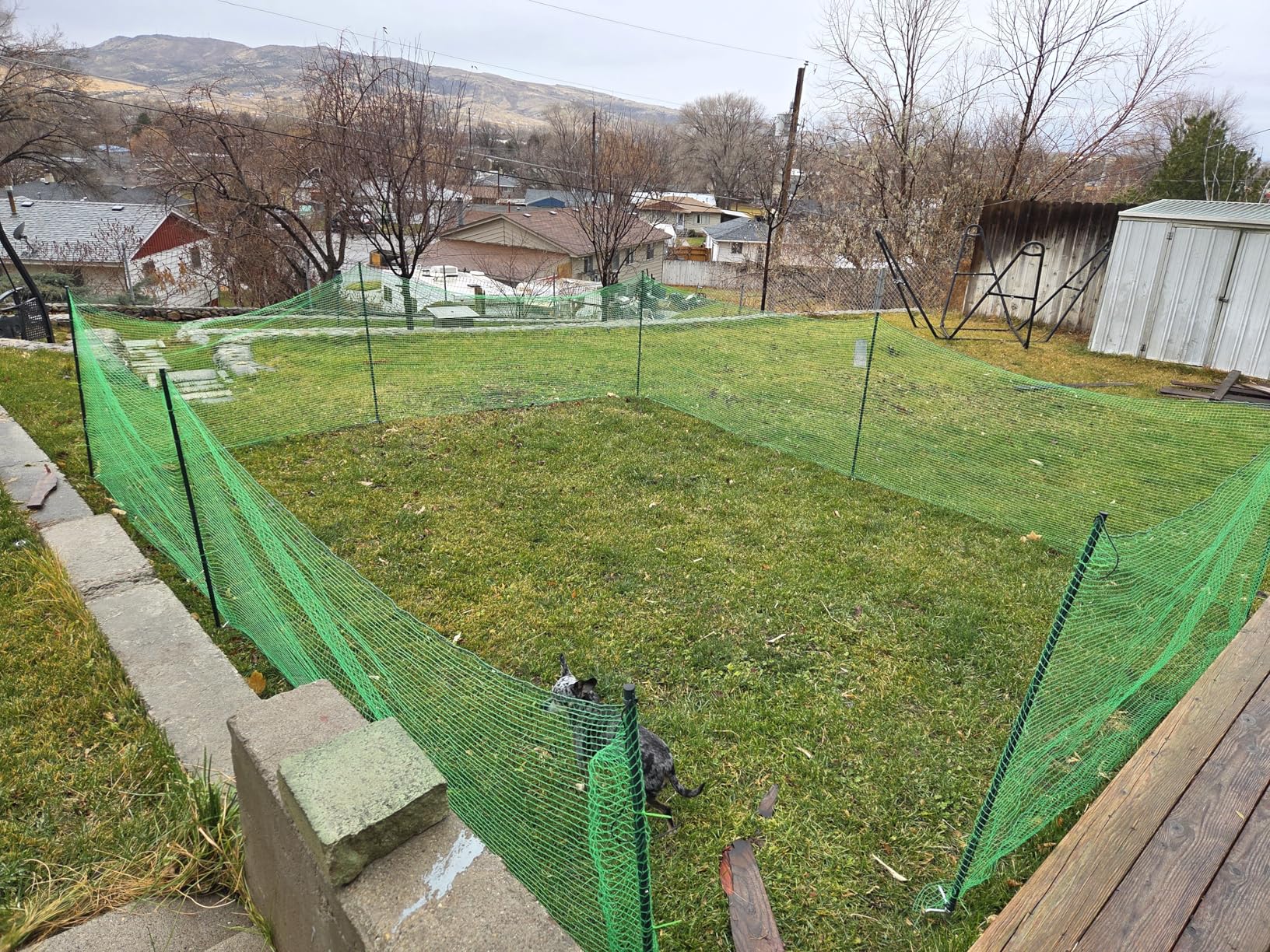 Temporary Fence with Posts, 40