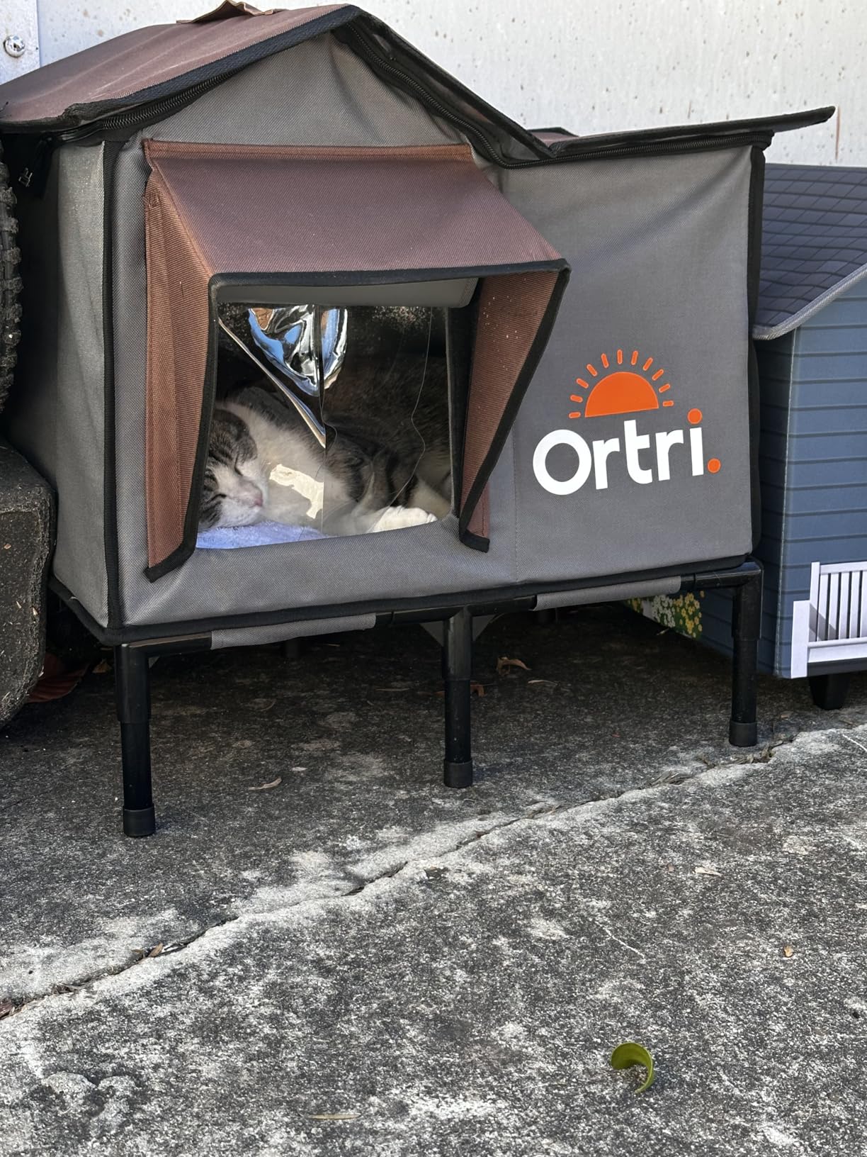 Outdoor Heated Cat House for Outside: Winter Insulated Weatherproof 30