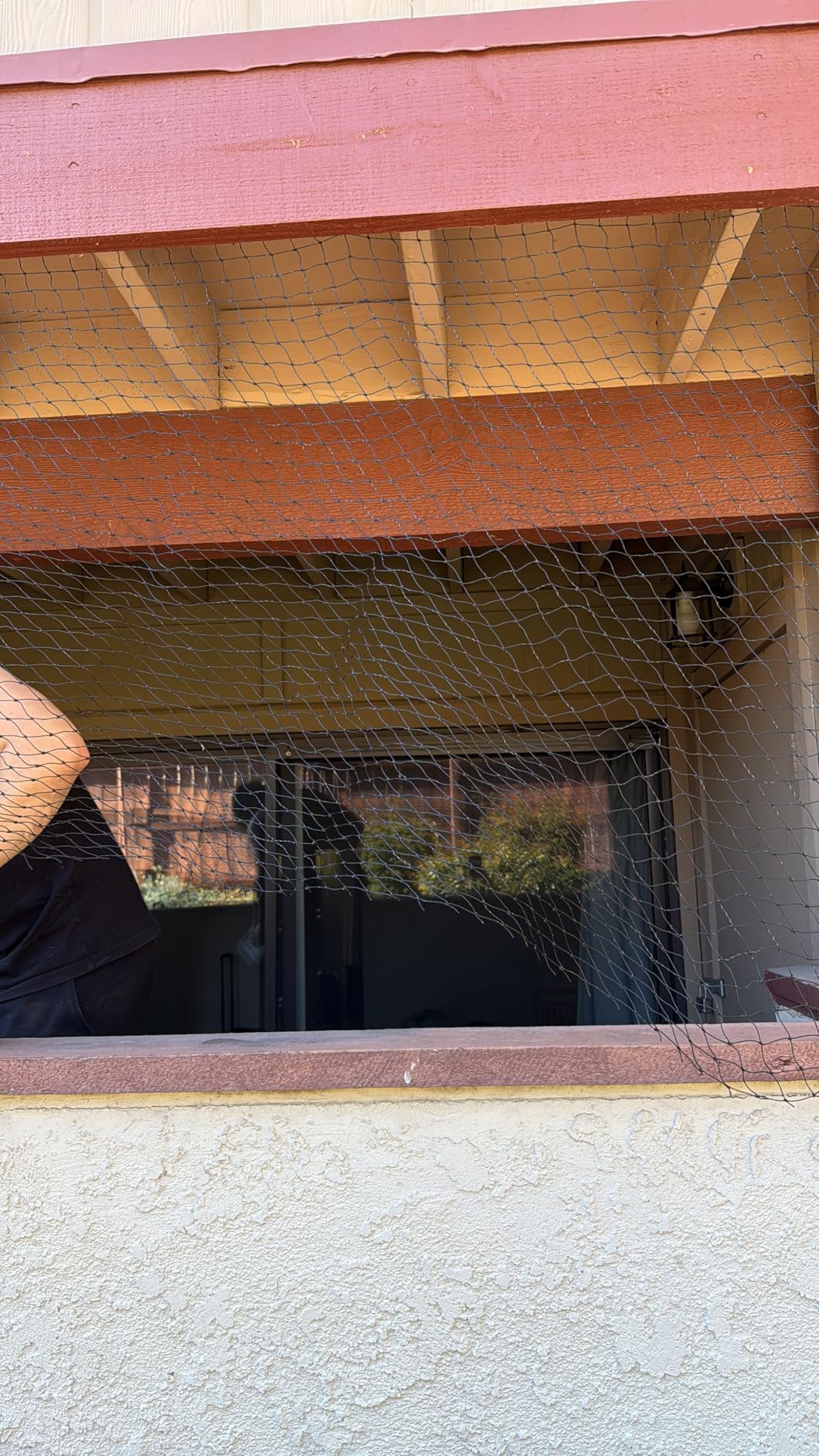 Steel Reinforced Cat Netting for Balcony - 10ft x 20ft - Cat Net for Catio - Safety Netting for Pets - Animal Proof Screen - Strong Pet Net - Kitten Balcony Protection - Barrier for Animals Fence customer photo 1