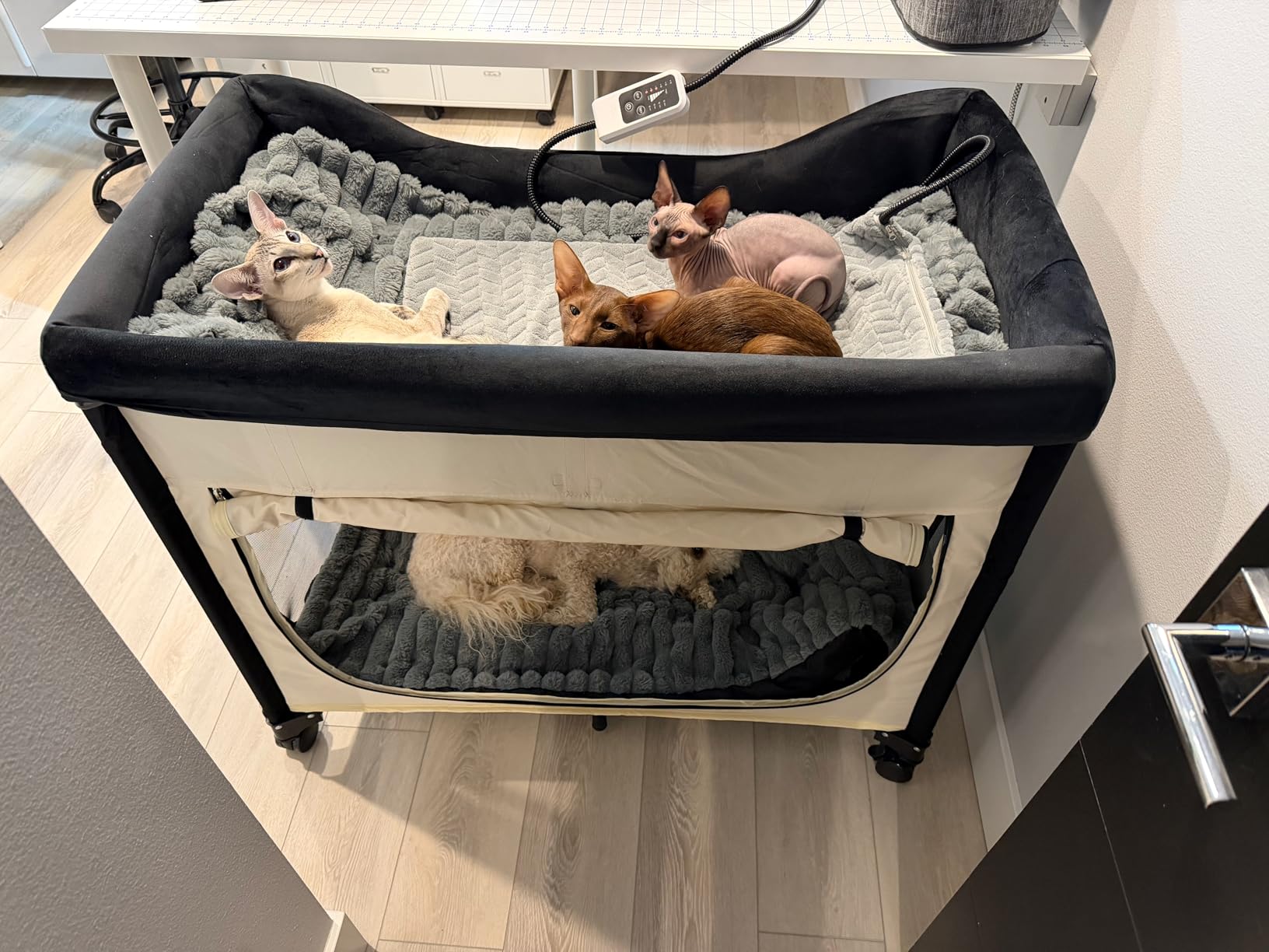 VEVOR Bedside Lounge Pet Bed, Foldable Bunk Dog Bed with 600D Oxford Cloth and Dutch Velvet, Portable Raised Cot with Wheels, Side Storage Bags, and Carry Bag for Cats & Dogs, L, Beige customer photo 1