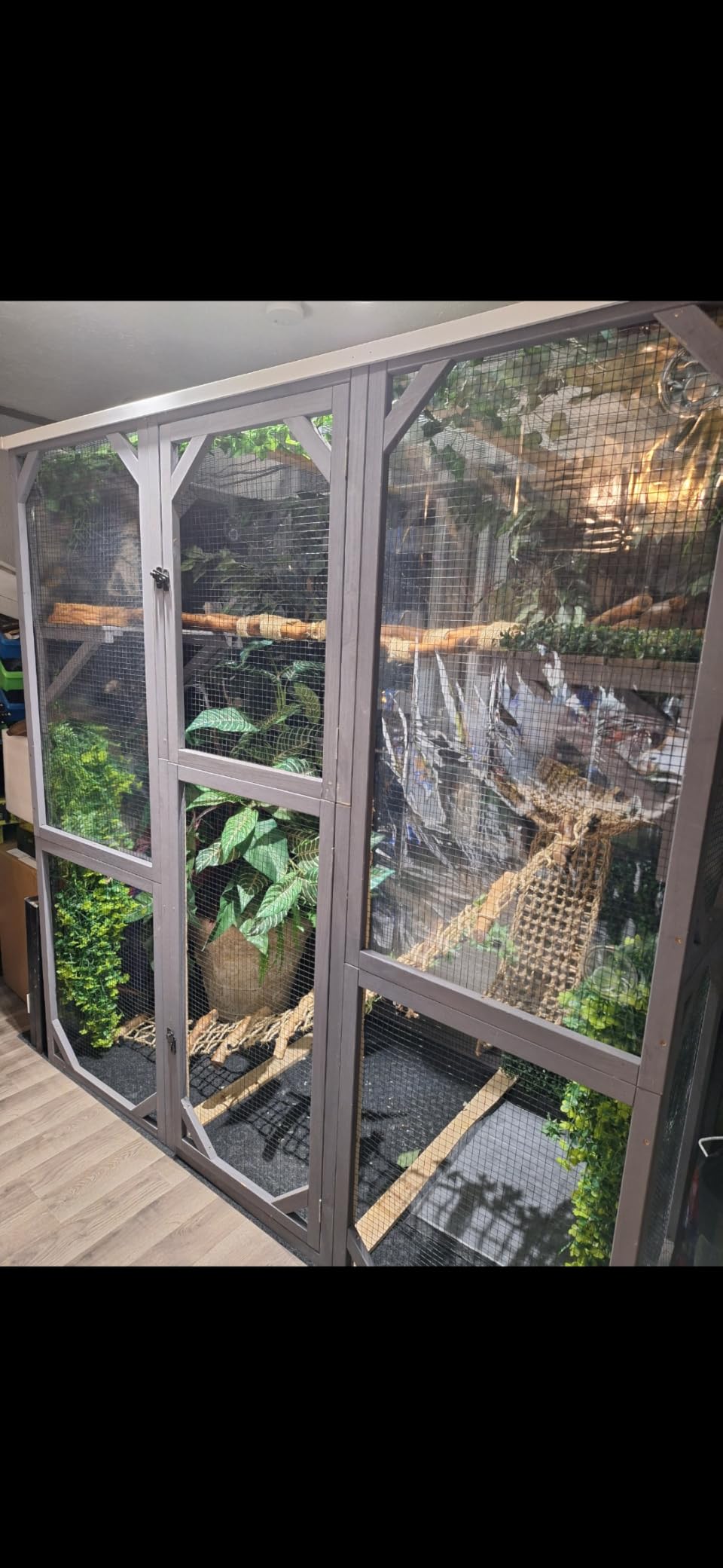 Aivituvin Catio Outdoor Cat Enclosure with Scratch Post, Hammock, Large Window Cat House for 2-6 Multiple Cats Walk in Kitty Cage with Tarp Roof 70