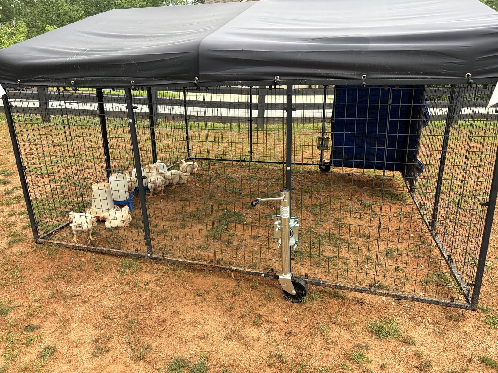 Petony Large Outdoor Dog Enclosure, Heavy Duty Dog Cage with Roof, Galvanized Steel Dog Kennel Fence with Double Safety Locks (4.2'L x 4'W x 4.5'H) customer photo 1