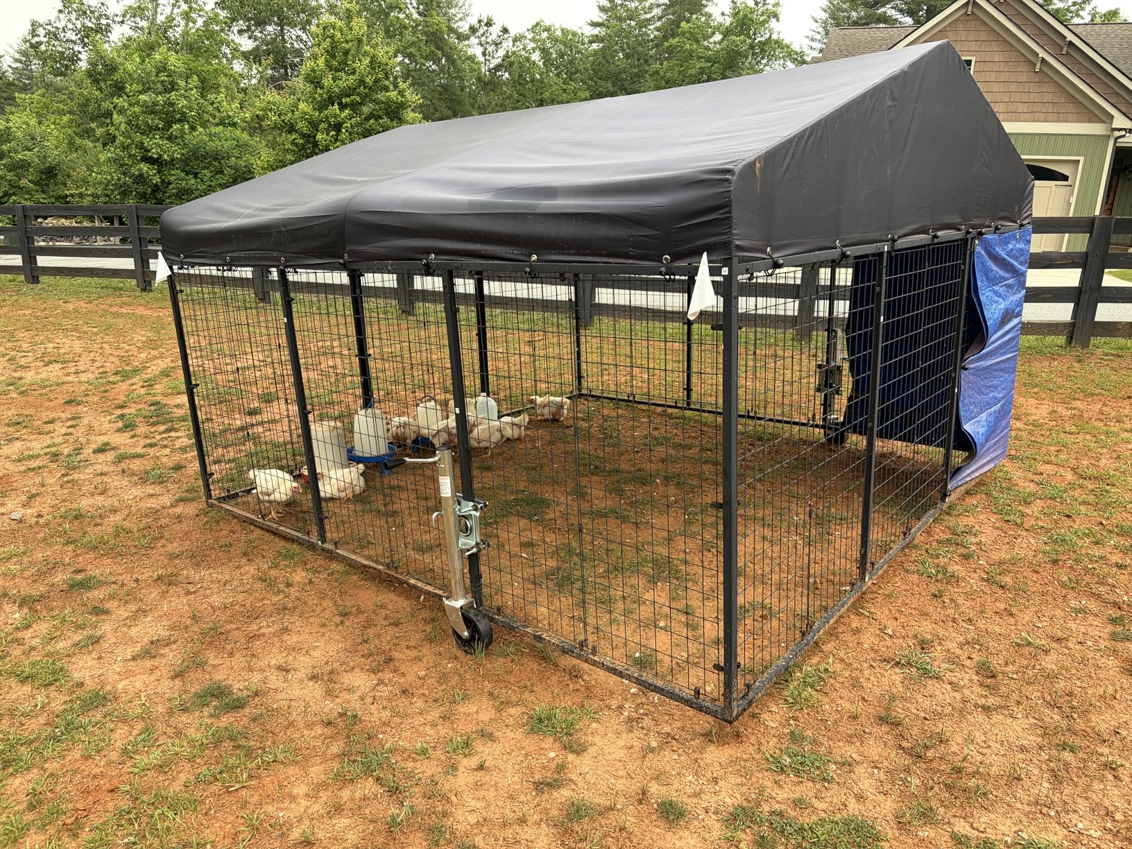 Petony Large Outdoor Dog Enclosure, Heavy Duty Dog Cage with Roof, Galvanized Steel Dog Kennel Fence with Double Safety Locks (4.2'L x 4'W x 4.5'H) customer photo 2