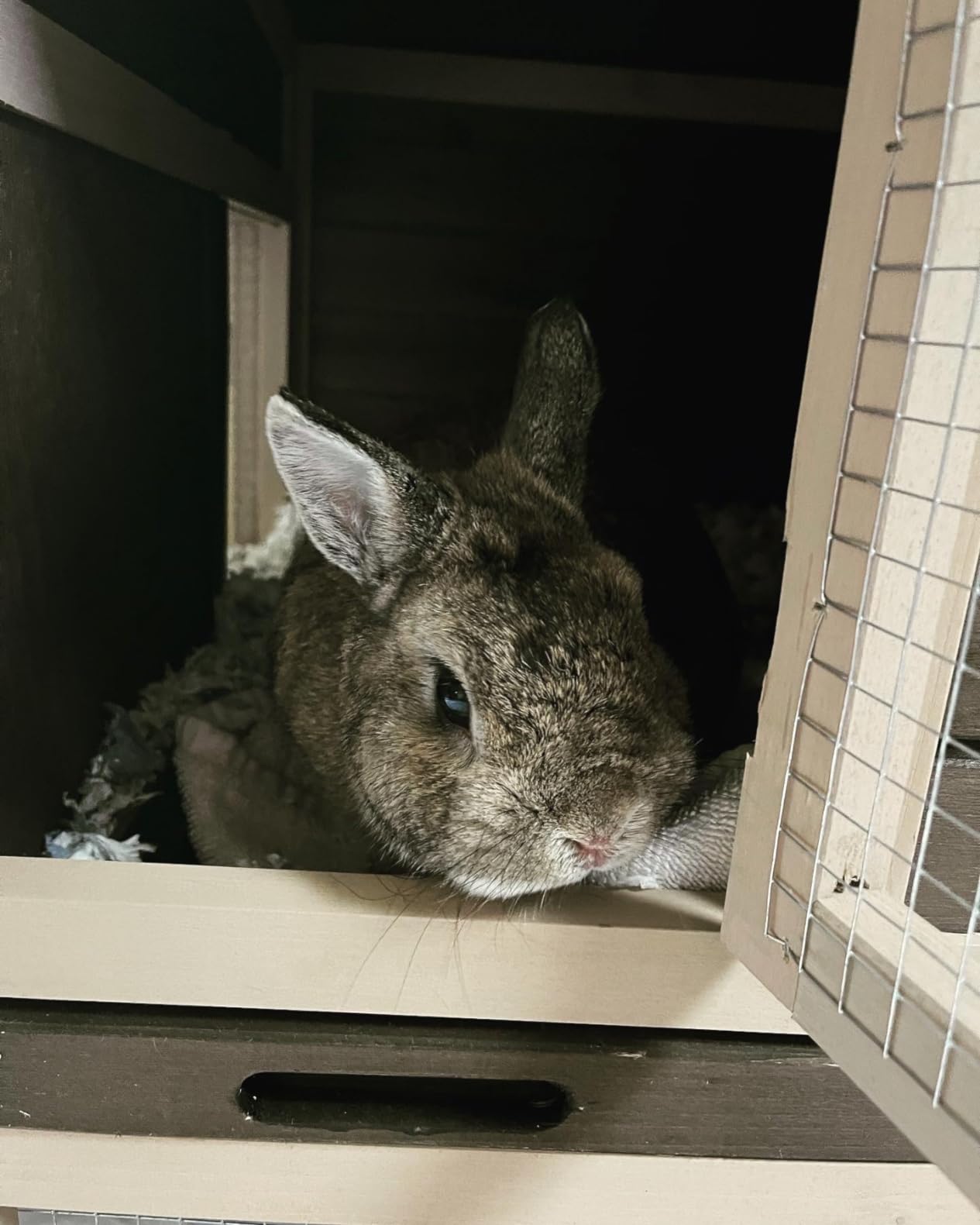 GUTINNEEN Duplex Rabbit Hutch Indoor with Chew-Proof Frame & 2 Leak-Proof Sliding Trays, Rain Cover, Wooden Guinea Pig Cages with Wheels - Grey customer photo 2