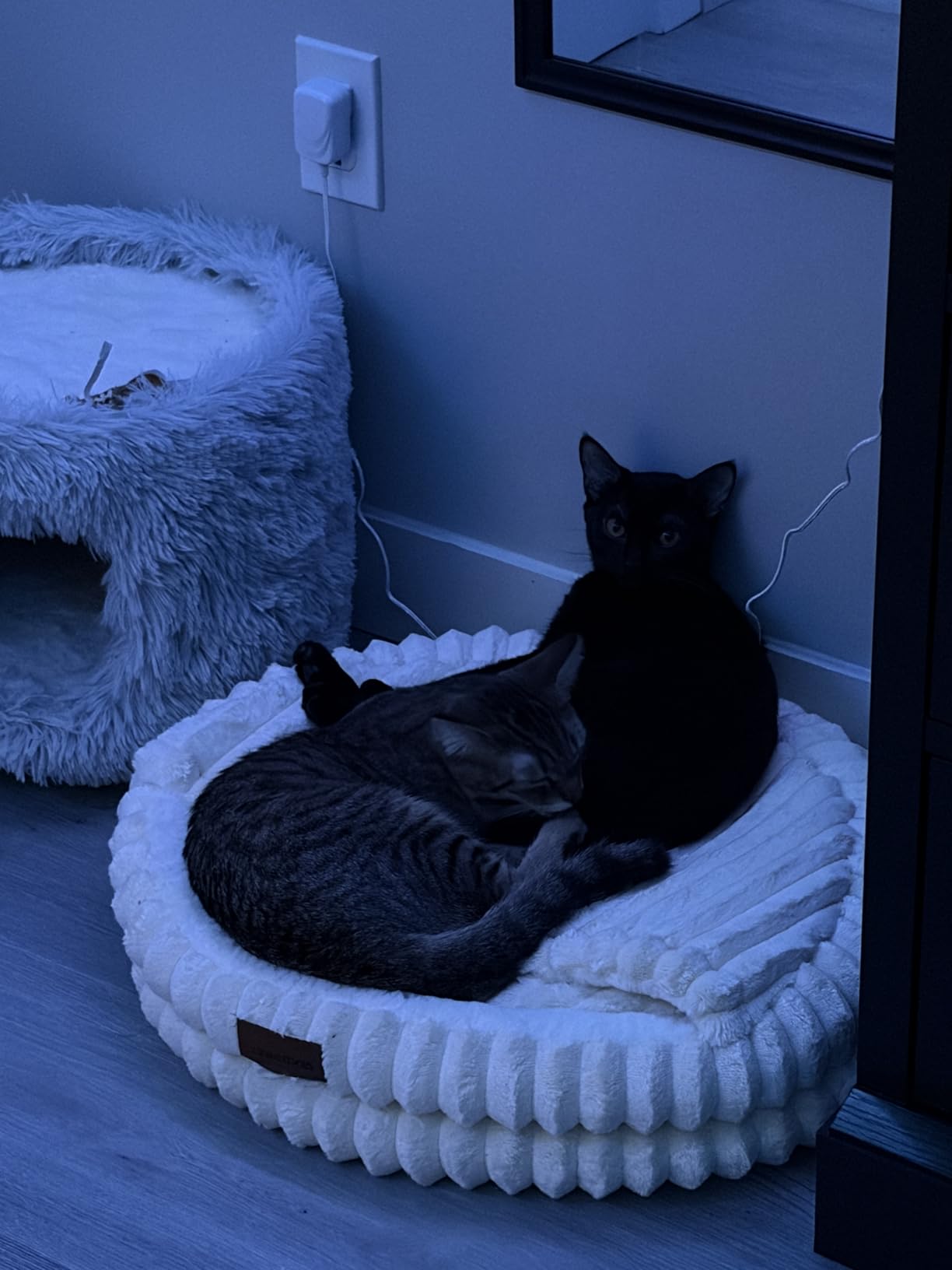 CHEERPALS Cat Cave Bed for Indoor Cats, Washable Covered Cat Bed Hooded Kitty Bed Soft Fluffy Pet Bed for Puppy and Small Dog (White) customer photo 1