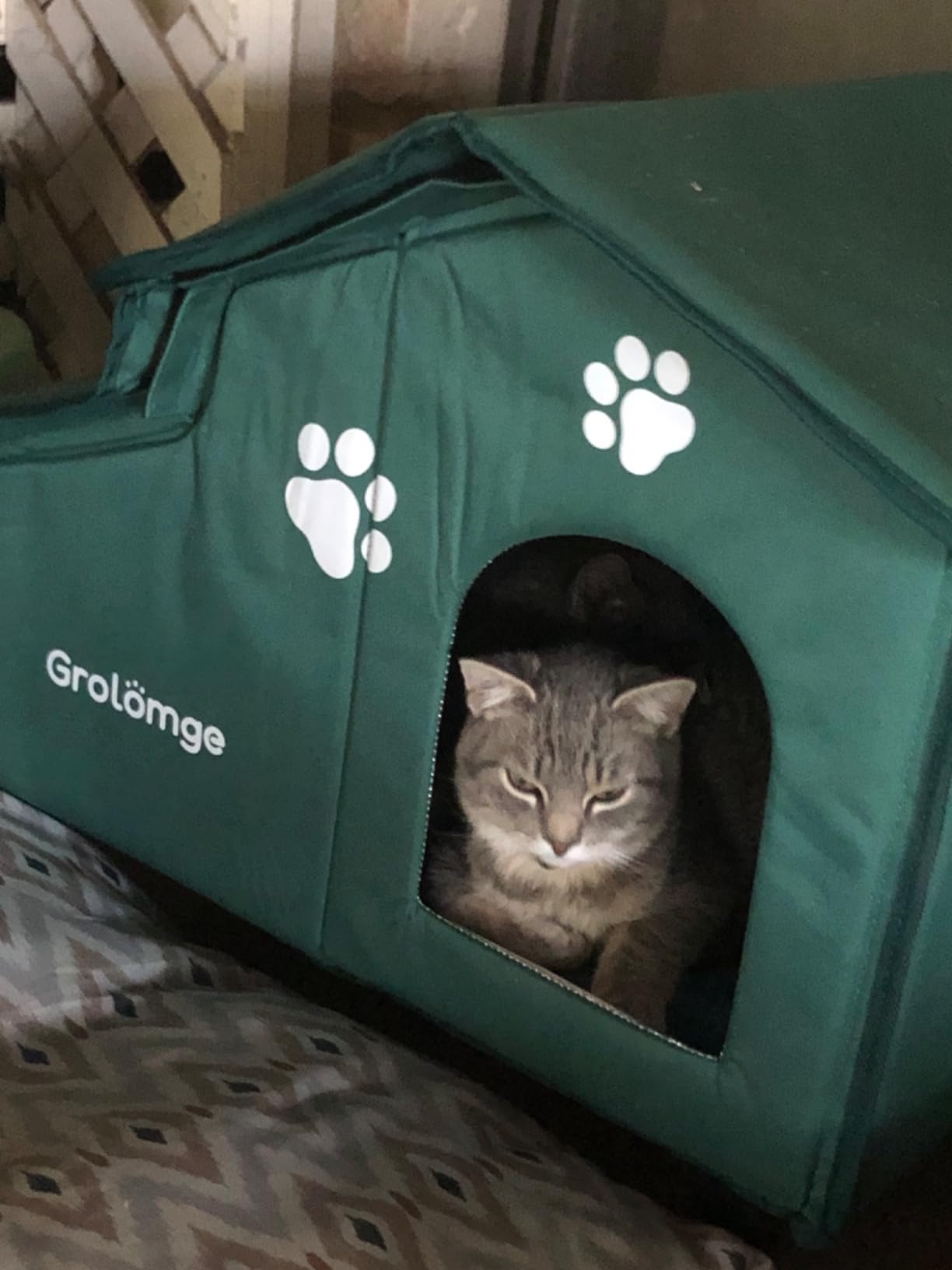 Large Outdoor Heated Cat House for Multiple Cats, Weatherproof Insulated Spire Roof Shelter customer photo 1