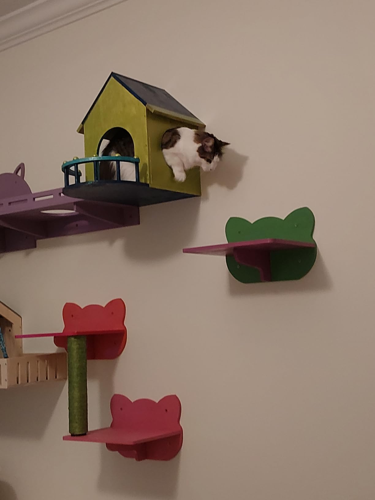 DWVO Solid Wood Cat Wall Shelves and Perches, Tall Floor to Ceiling Cat Tower w Scratching Posts, Wall Mounted Cats Furniture Climbing Shelves for Large Cats w Houses, Steps, Runway, Scratching Board customer photo 2
