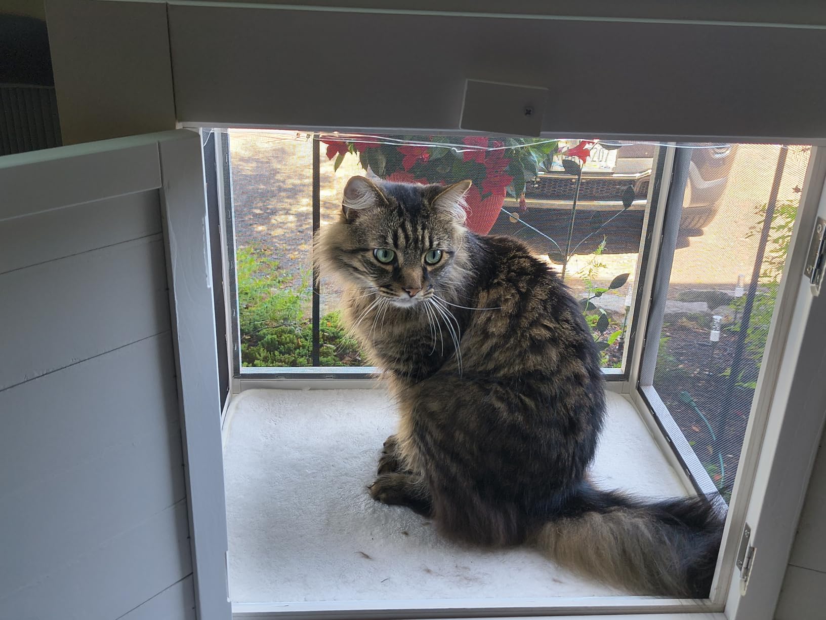 GDLF Winter Cat Window Box - Cat Window Perch Catio with Windproof Cover & Door, Fits 24.3-38.8