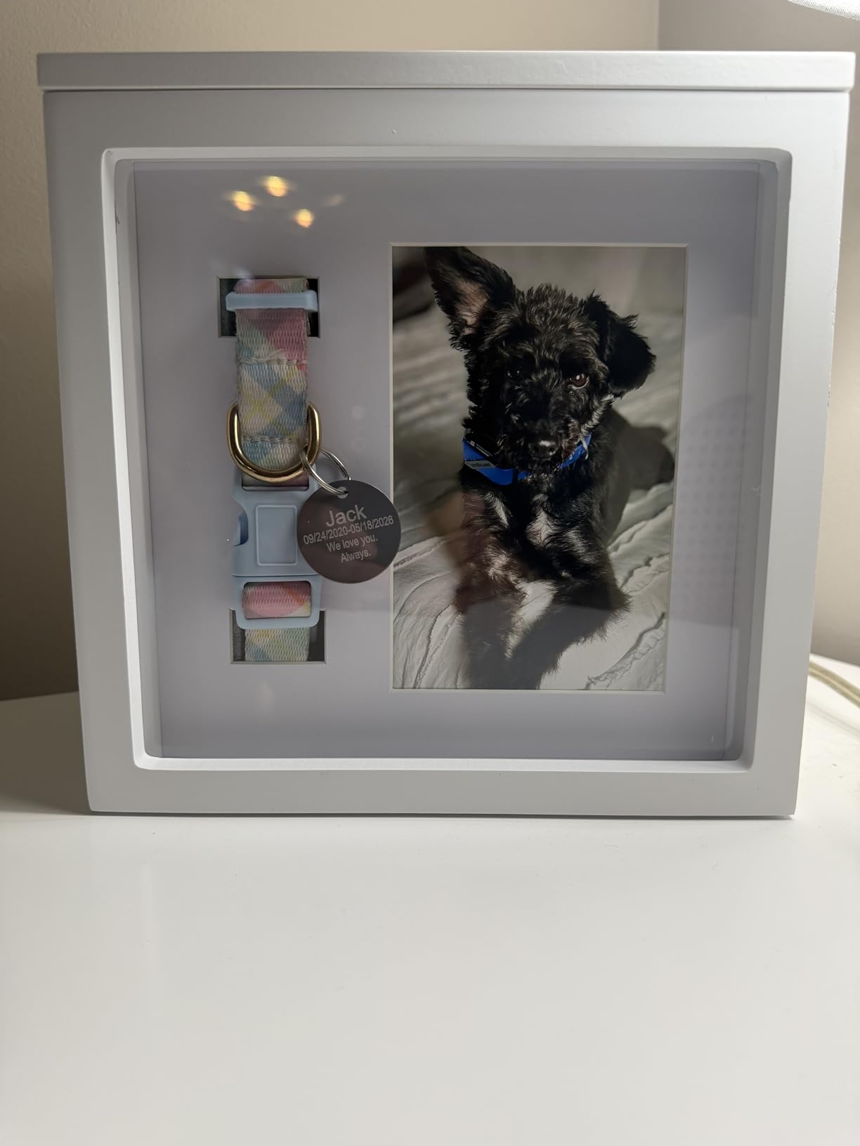 OtterPets Dog Urn for Ashes, 4 Customizable Displays with Paw Print Ink Kit and Flannel Bag, Pet Urns for Dogs Ashes, Pet Cremation Box, Cat Urn for Ashes, Dog Ashes Keepsake (Black) customer photo 1