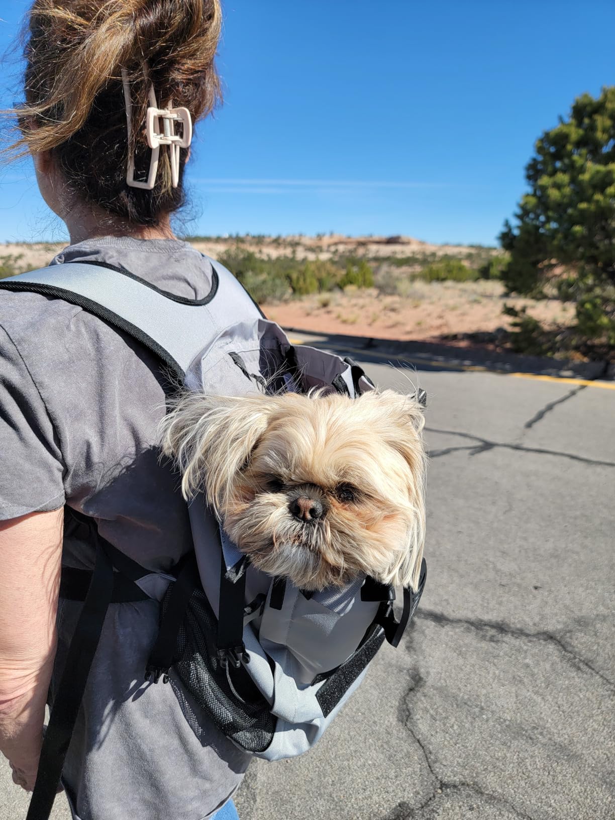 Dog Backpack Carrier for Medium Dogs - 4-Layer Protection, Under 30 lb, Waterproof, Adjustable Dog Hiking Backpack with Storage Pockets, Reflective Strips, Non-Slip Handle for Travel customer photo 1