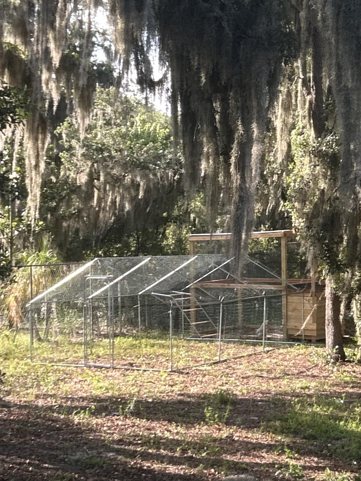 Large Metal Chicken Coop with Run for Yard with Waterproof & Anti-UV Cover, 19.7 x 10 x 6.4ft Outdoor Walk-in Poultry Cage Chicken Run Pen with Roosting Perch, Hen Duck Rabbit House customer photo 1