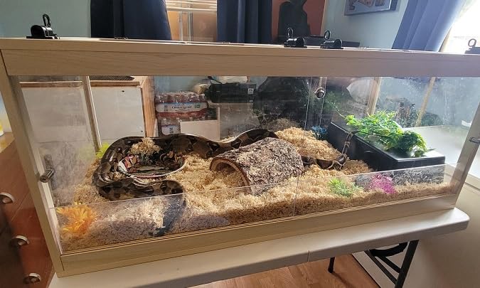 PROLEE Bearded Dragon Tank, Reptile Tank with Metal Mesh Roof and Front Sliding Door, Lizard Tank, Spacious Reptile Enclosure for Snakes, Iguanas, Chameleons (Black, 30 Gallons) customer photo 1