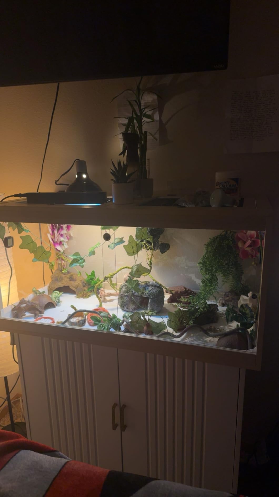 PROLEE Bearded Dragon Tank, Reptile Tank with Metal Mesh Roof and Front Sliding Door, Lizard Tank, Spacious Reptile Enclosure for Snakes, Iguanas, Chameleons (Black, 30 Gallons) customer photo 2