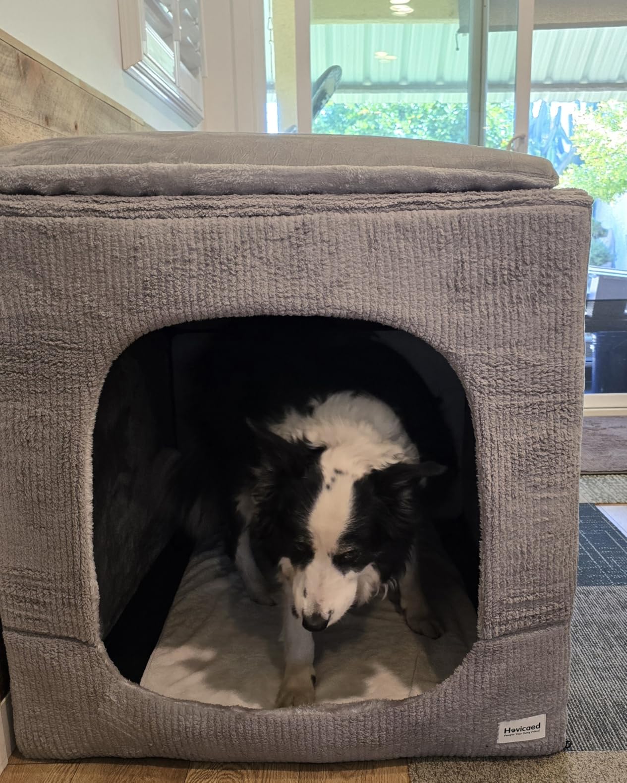 Hovicaed Indoor Dog House for Extra Large Medium Small Sized Dogs - Dog Tent with Washable Removable Cover, Pet Orthopedic Dog Cave Bed Egg-Crate Foam Cushion, Inside Dog House Large Space(XXL) customer photo 1
