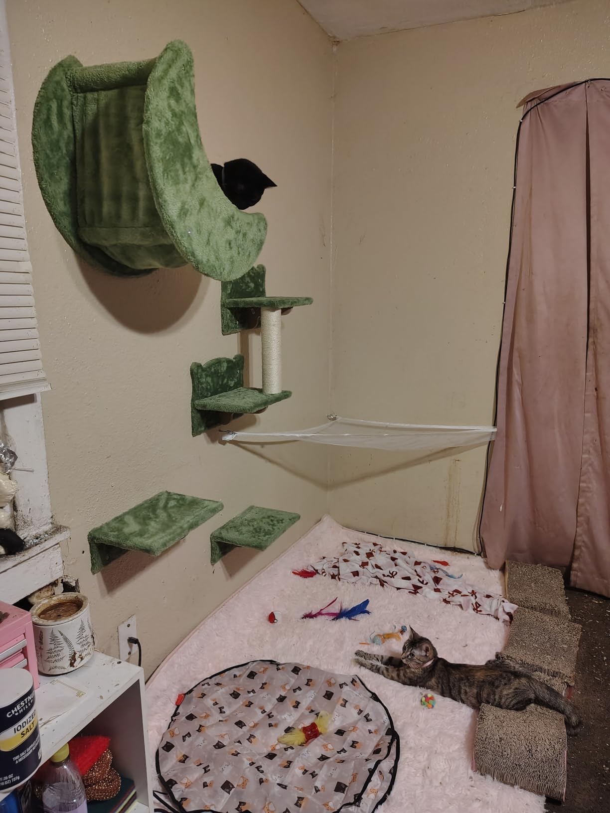 13-in-1 Cat Wall Shelves, Wall Mounted Cats Furniture Set with Plush Fabric, Cat Climbing Wall Systems, Cats Shelf with Moon Hammock, Condo, House, Step, Bridge Ladder, Scratching Post, Beige customer photo 2