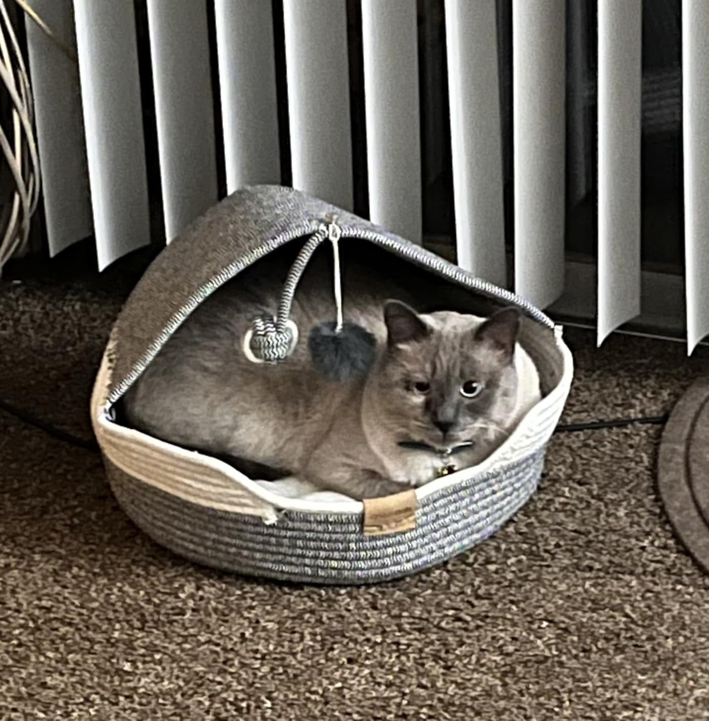 CHEERPALS Cat Basket Bed with Washable Cushion and Ball Rope Cotton, Covered Pet Bed for Indoor Cats Cave Bed Hooded, Stimulicat Cat Bed Handwoven Breathable, All Season Universal(White) customer photo 2
