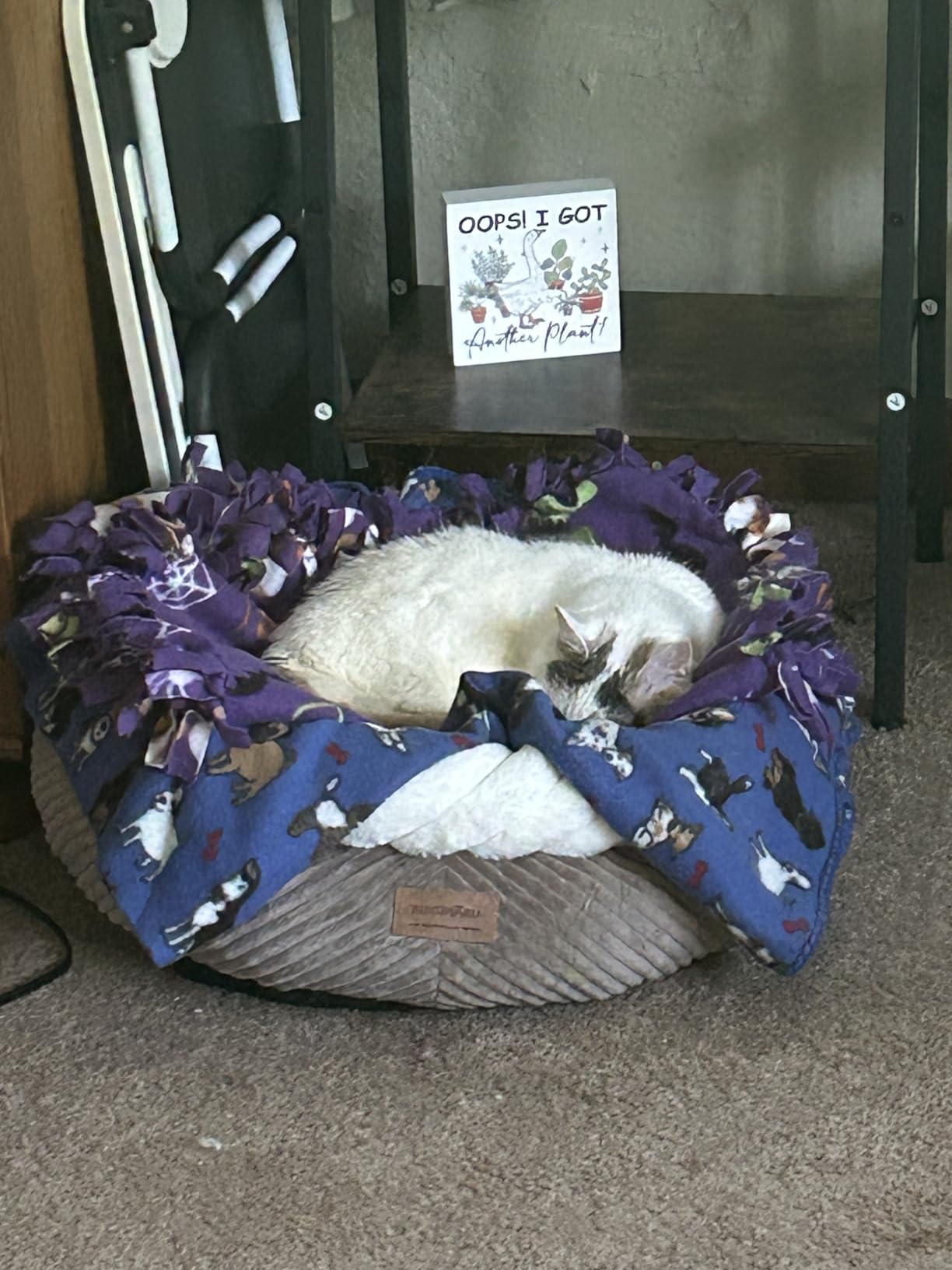 FUKUMARU Dog Bed, 25in Large Round Cat Beds, Plush Faux Fur&Corduroy Cat Beds, Cute Round Washable Pet Bed for Large Cats and Small Dogs, Cat Cave with Anti-Slip Bottom, 25inch, Camel customer photo 1
