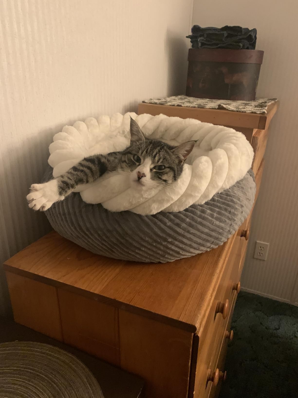 FUKUMARU Dog Bed, 25in Large Round Cat Beds, Plush Faux Fur&Corduroy Cat Beds, Cute Round Washable Pet Bed for Large Cats and Small Dogs, Cat Cave with Anti-Slip Bottom, 25inch, Camel customer photo 2