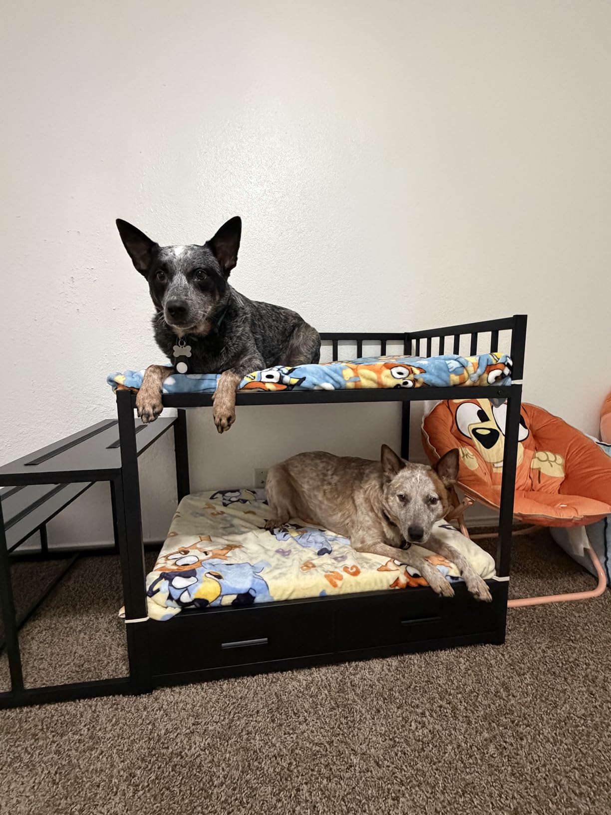 GDLF Dog Bunk Beds for Large Dogs, Dog Bedside Bed with Stairs & Storage, Space-Saving Indoor pet Furniture customer photo 1