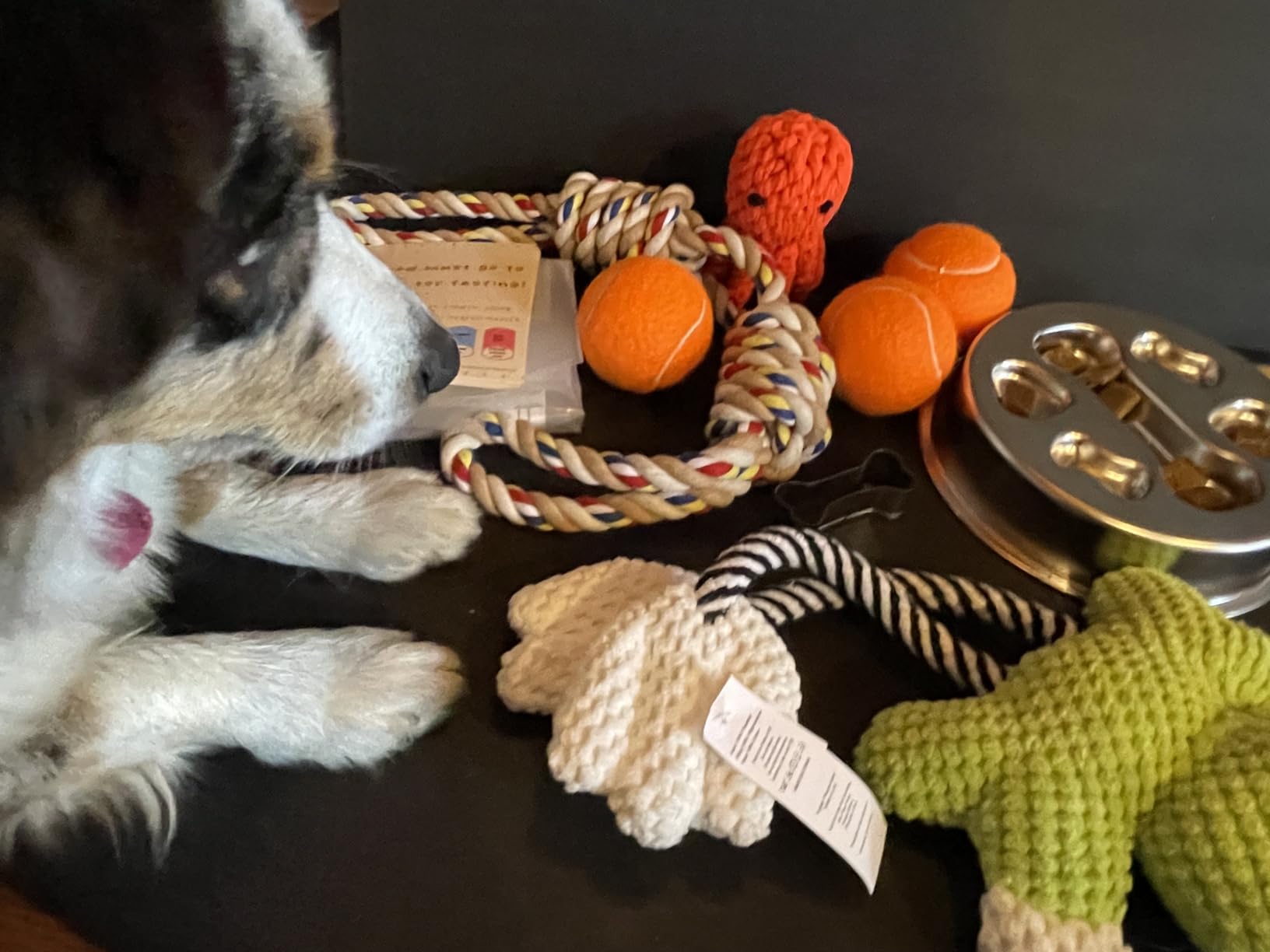 14Pcs New Puppy Gift Basket, Complete Premium Welcome Puppy Starter Kit and Dog Gift Basket with Dog Toys Bundle, Pet Essentials for New Owners, Perfect Dog Birthday Set for Small to Medium Breeds customer photo 1
