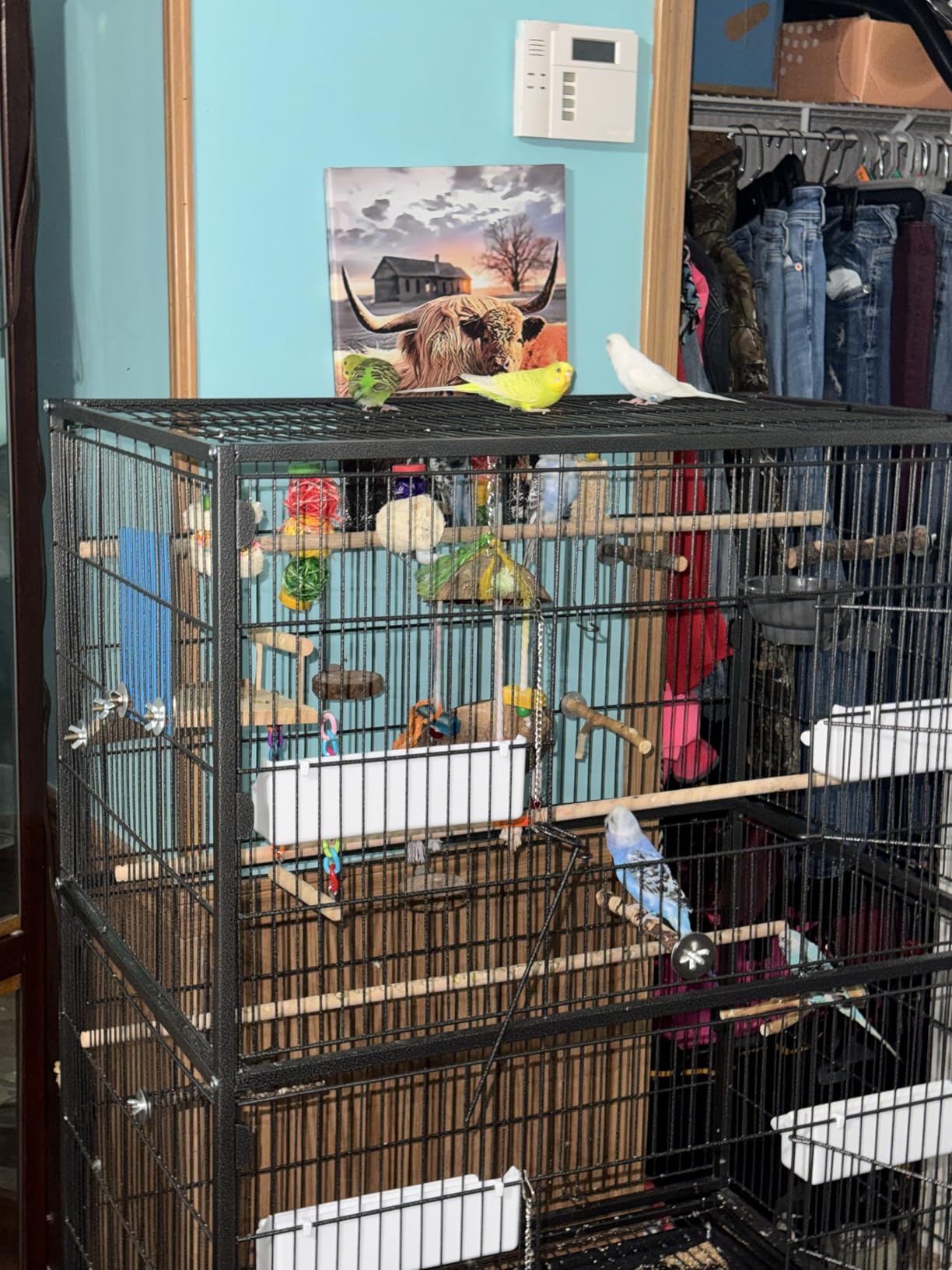 VEVOR Bird Cage, 31.5 x 20.5 x 52 inch, Flat Top, Wrought Iron Bird Flight Cage with Perches, Slide-Out Tray and Plastic Feeders, Casters, for Parrot, Blue Tit, Cockatiel, Canary, and Monk Parakeet customer photo 1