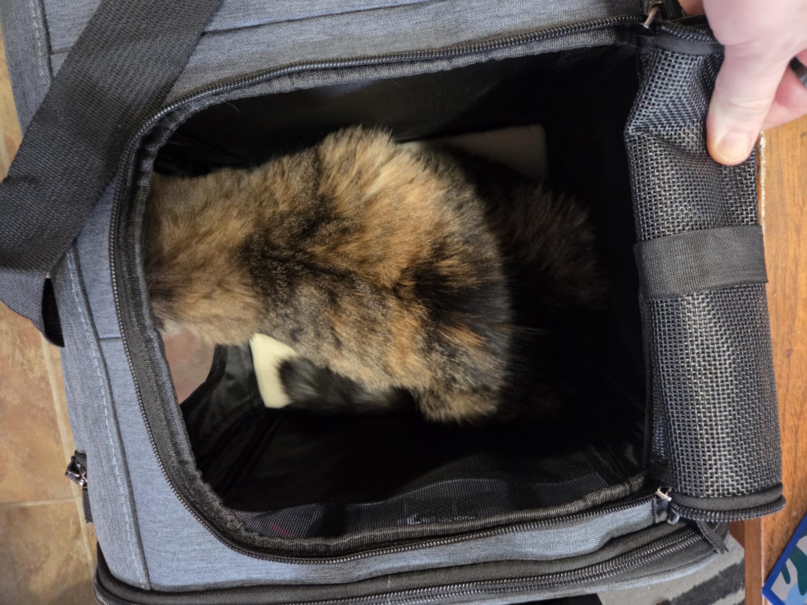 Cat Carrier for 2 Cats, Cat Carrier with Wheels for Cats and Dogs, Foldable Double Pet Carrier, Rolling Dog Carrier with Detachable Wheels and Telescopic Handle, 2 Front Zippered Compartments (Gray) customer photo 2