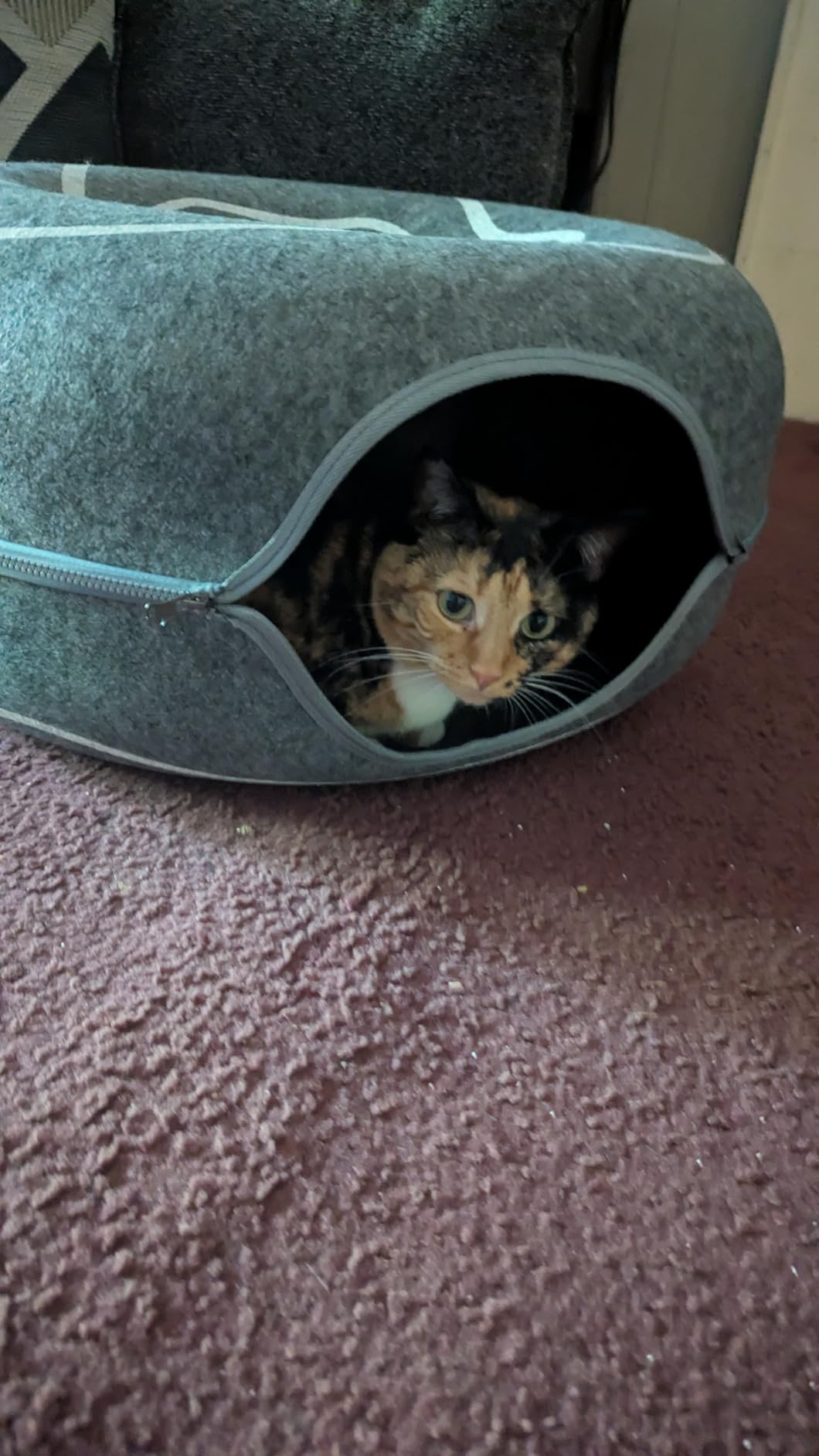 Peekaboo Cat Cave Donut - Cat Tunnel Bed for Indoor Cats - Cute Patterns Hideaway for Multiple & Large Cats, Scratch-Resistant (Light Gray) customer photo 1