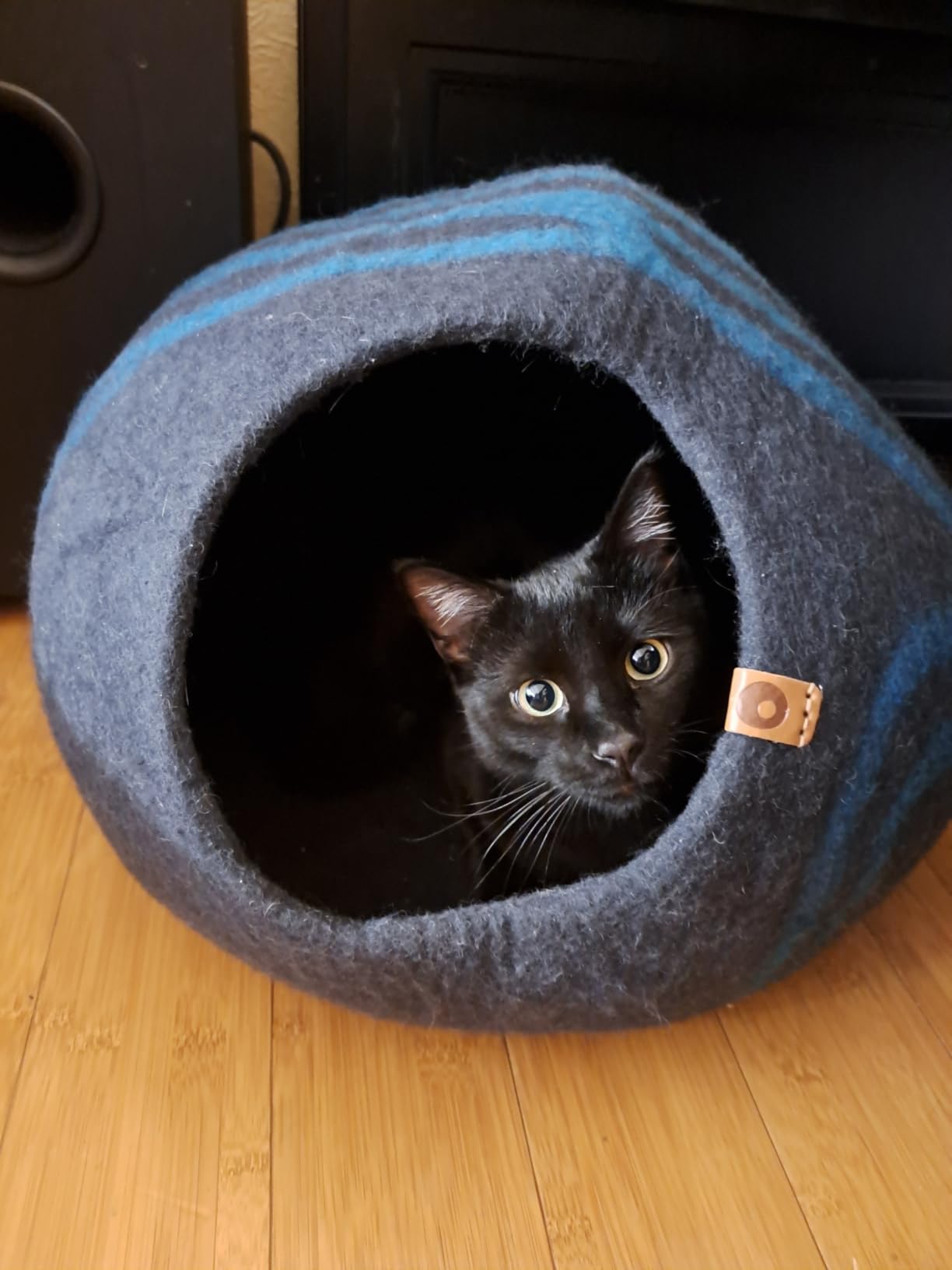 Peekaboo Cat Cave Donut - Cat Tunnel Bed for Indoor Cats - Cute Patterns Hideaway for Multiple & Large Cats, Scratch-Resistant (Light Gray) customer photo 2