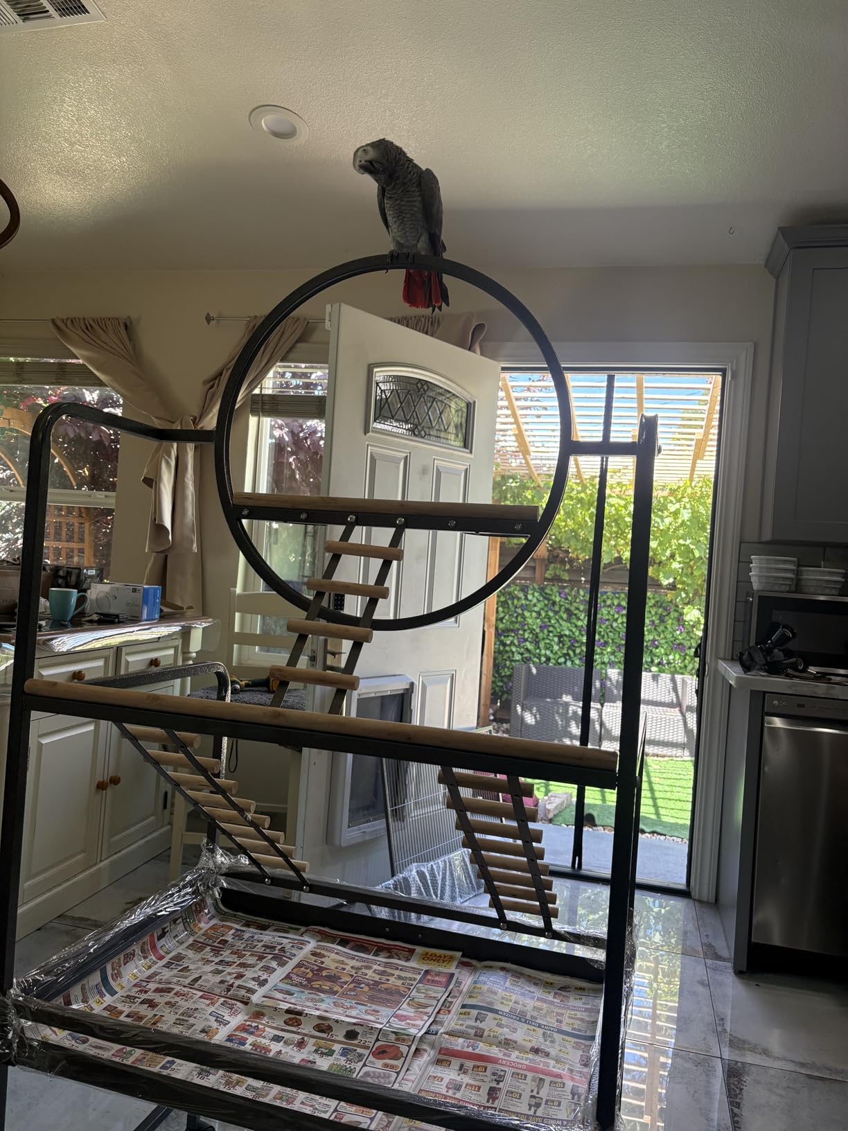 Garvee 64'' H Inch Birdcage Stand Play Center with Perches and Ladders, Indoor Outdoor Playground for Birds, Bird Playstand w/Rotated Ring Removable Tray, Lockable Caster, for Macaw and Parakeet customer photo 1